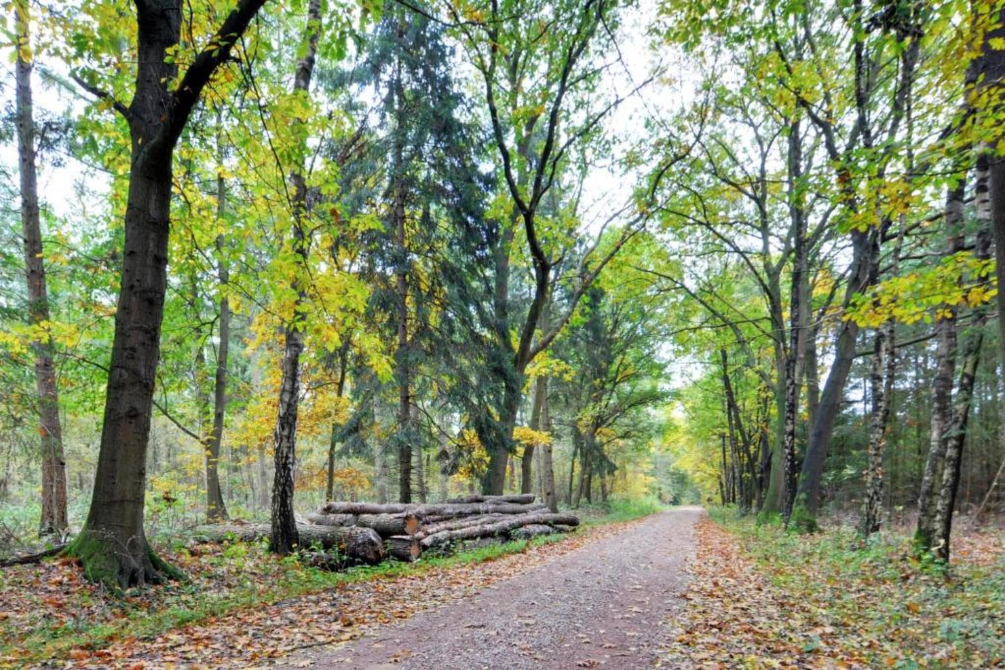 Bospark Markelo 7-Areas summer 20km