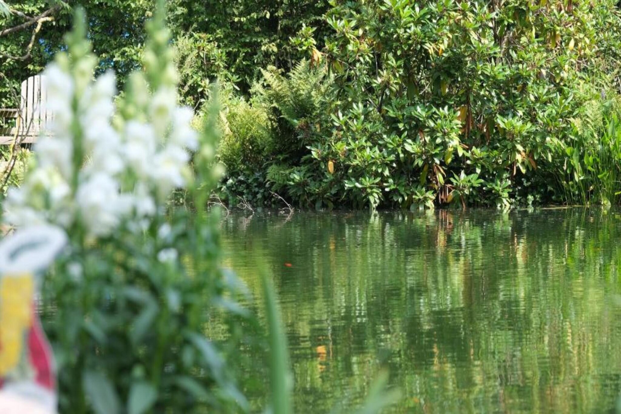 Bospark Markelo 7-Areas summer 20km