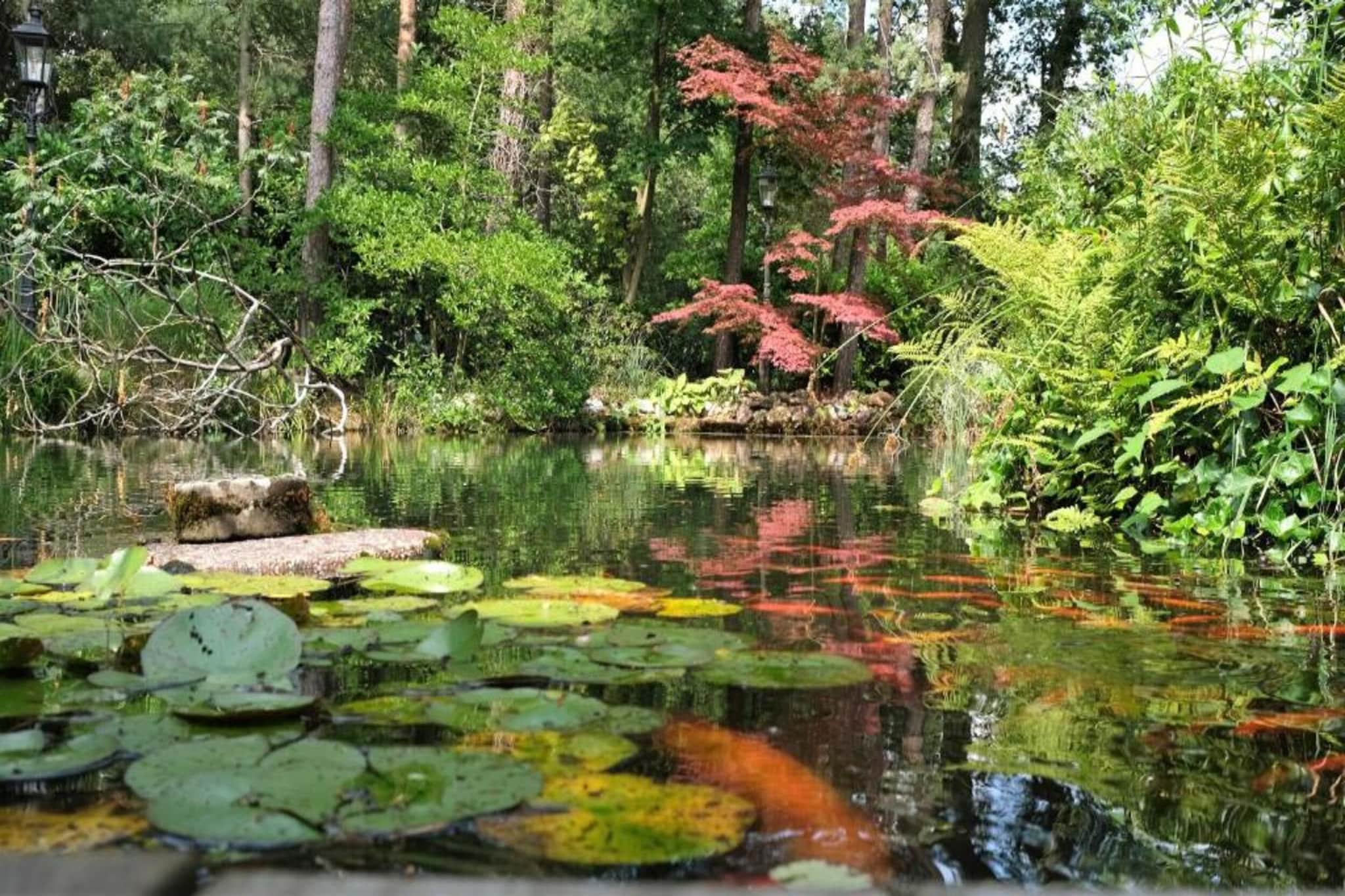 Bospark Markelo 7-Areas summer 20km