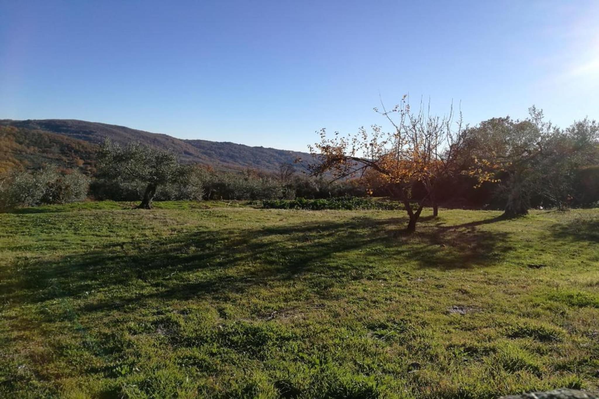 Casa de Pueblo "Rodrigo" Sierra de Gata Cáceres-Gebieden zomer 20km