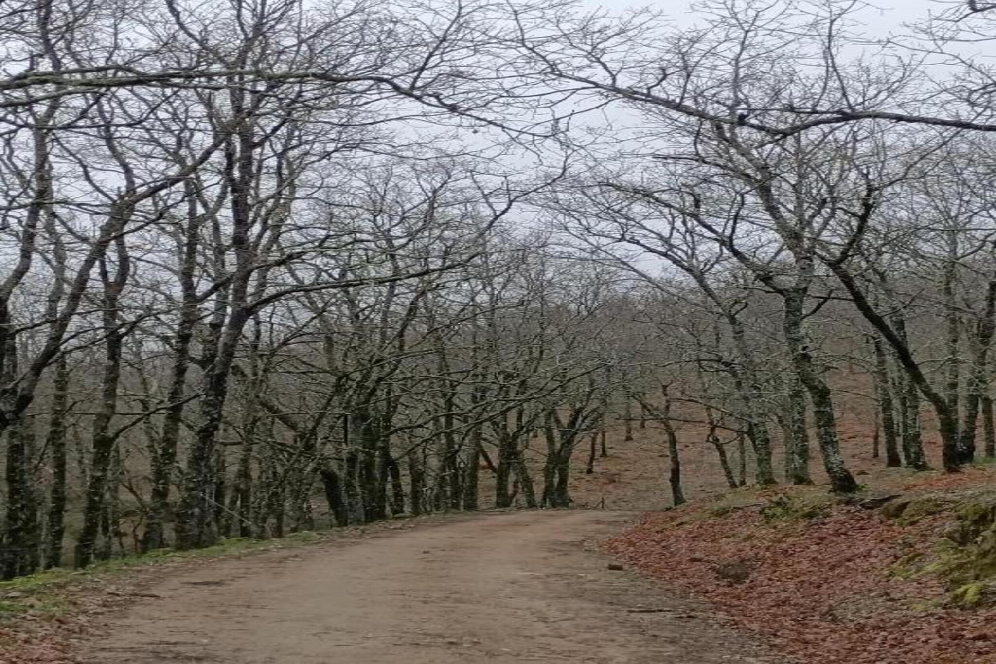 Casa de Pueblo "Rodrigo" Sierra de Gata Cáceres-Gebieden zomer 20km