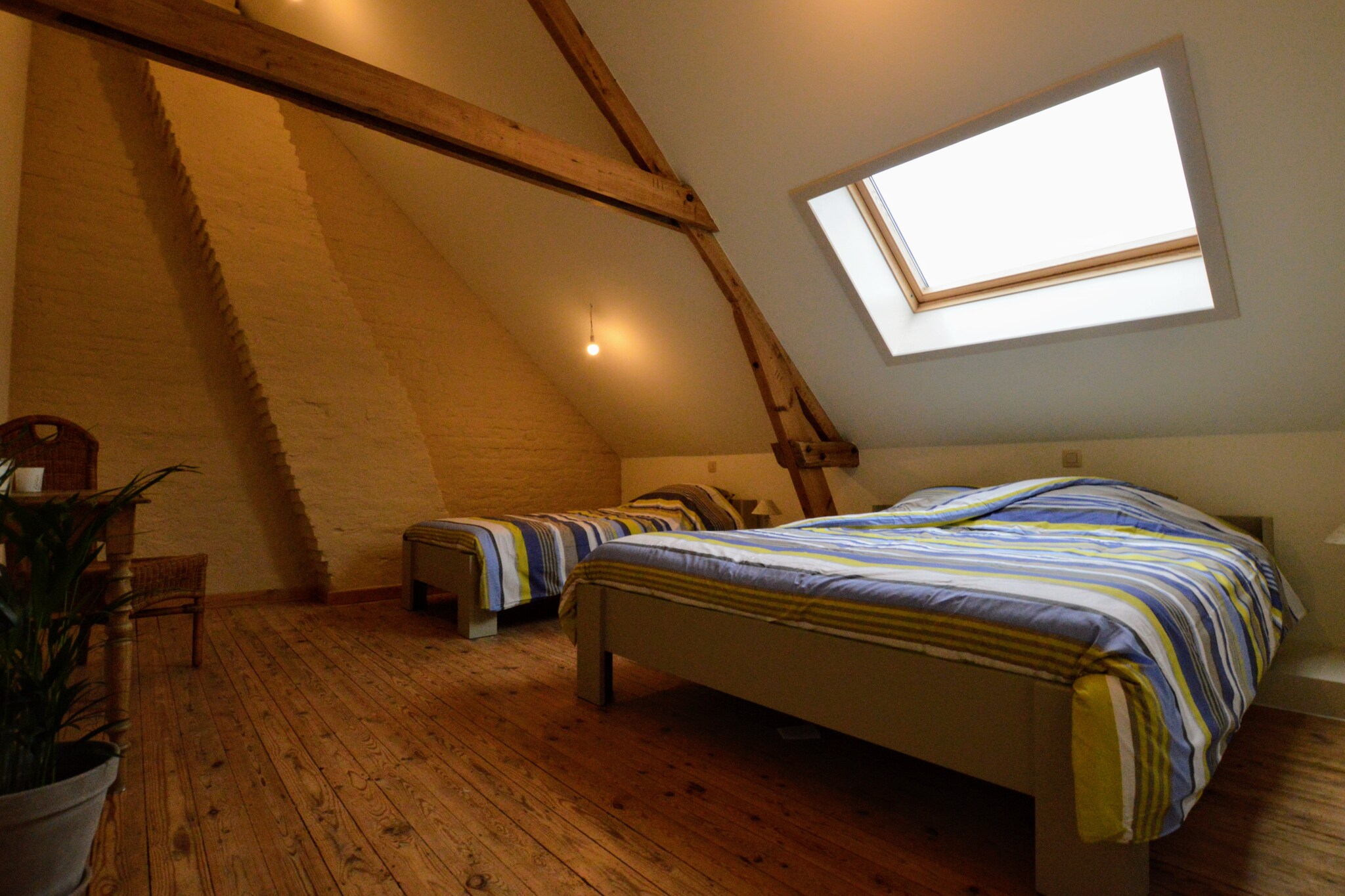 Vakantiehuis Roesbrugge max. 12 personen 5 slaapkamers #15