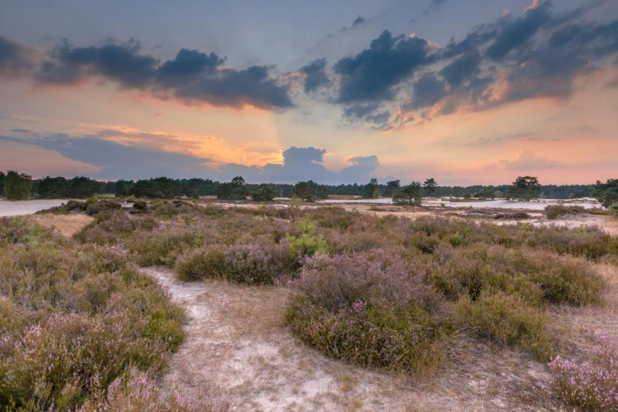 Resort De Utrechtse Heuvelrug 1-Gebieden zomer 20km