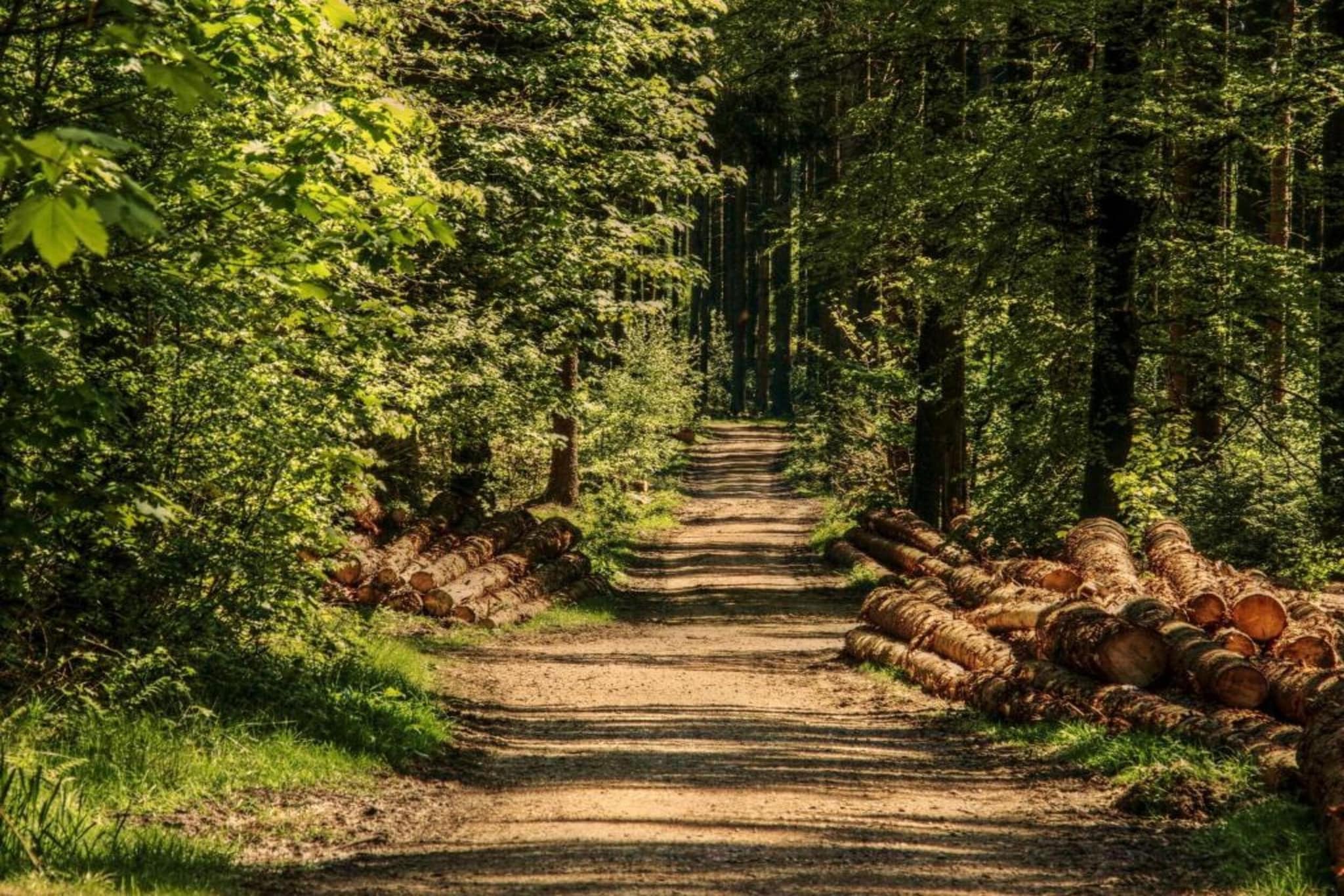 Resort De Utrechtse Heuvelrug 1-Gebieden zomer 20km