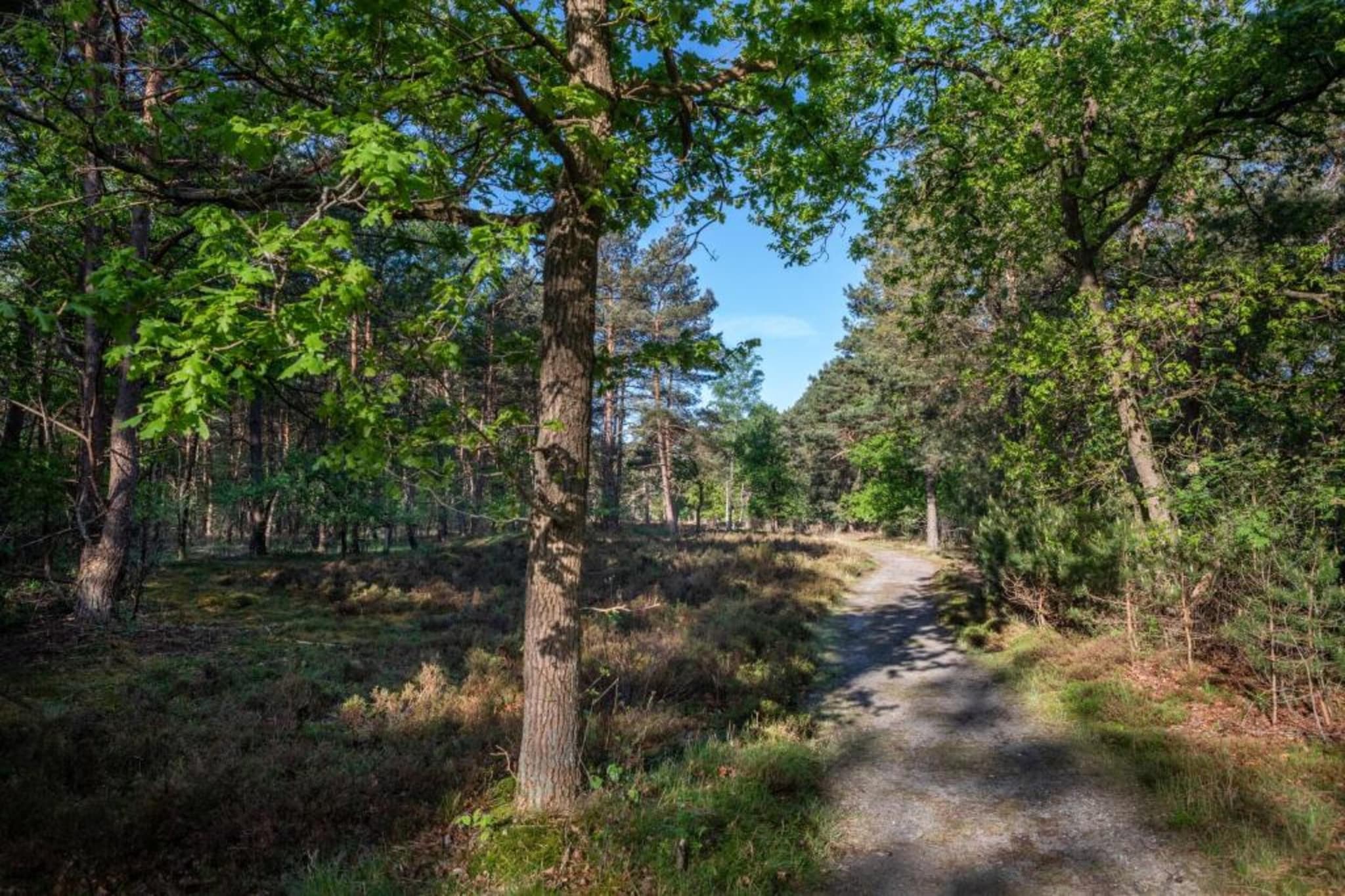 Resort De Utrechtse Heuvelrug 1-Gebieden zomer 20km