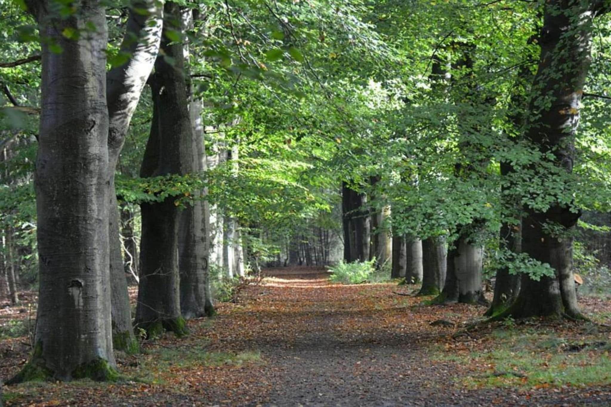 Resort De Utrechtse Heuvelrug 1-Gebieden zomer 20km