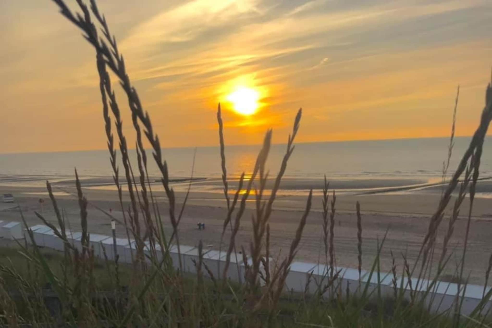 Residentie Shamrock Bianca-Gebieden zomer 20km