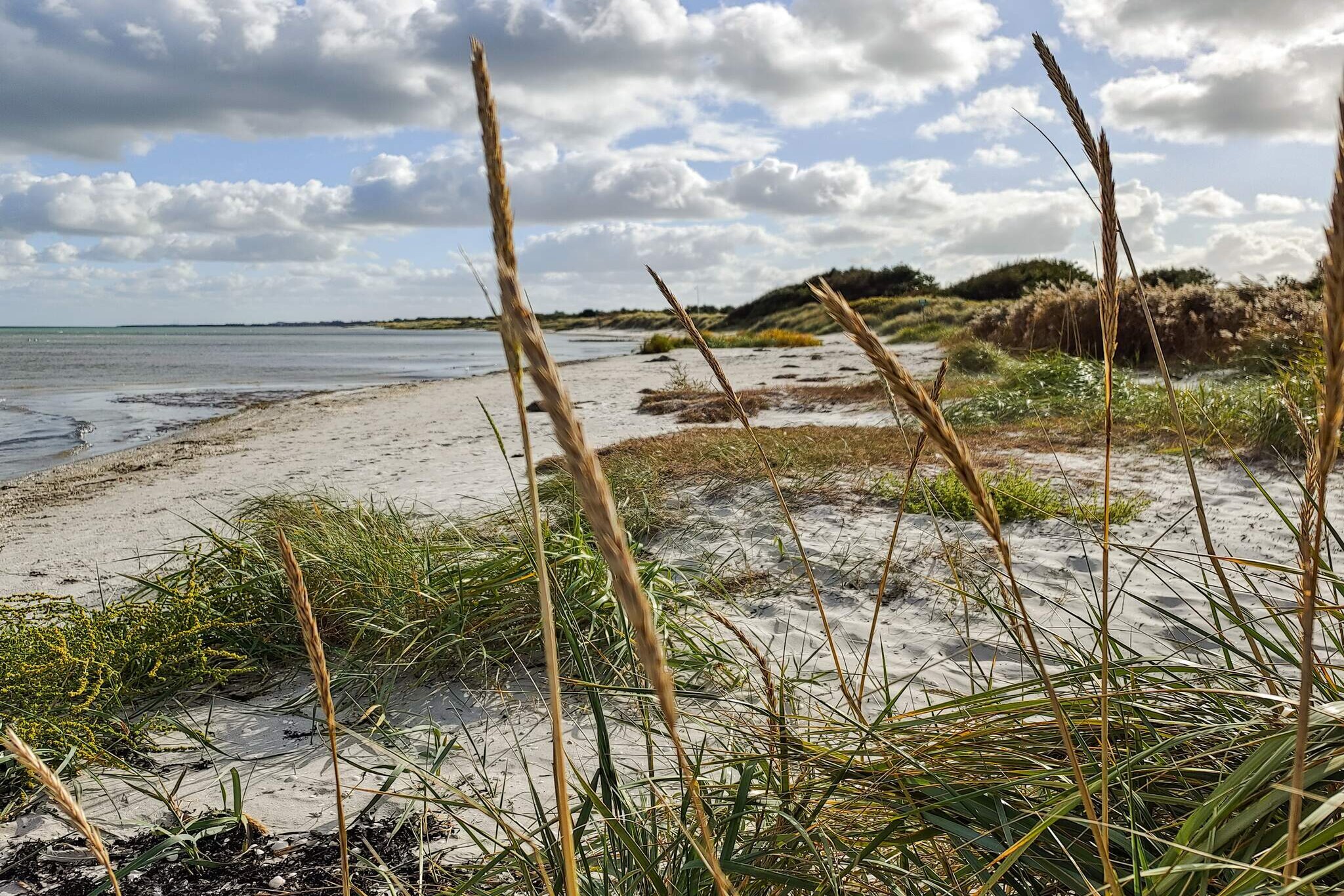 16 persoons vakantie huis in Væggerløse - Waterzicht