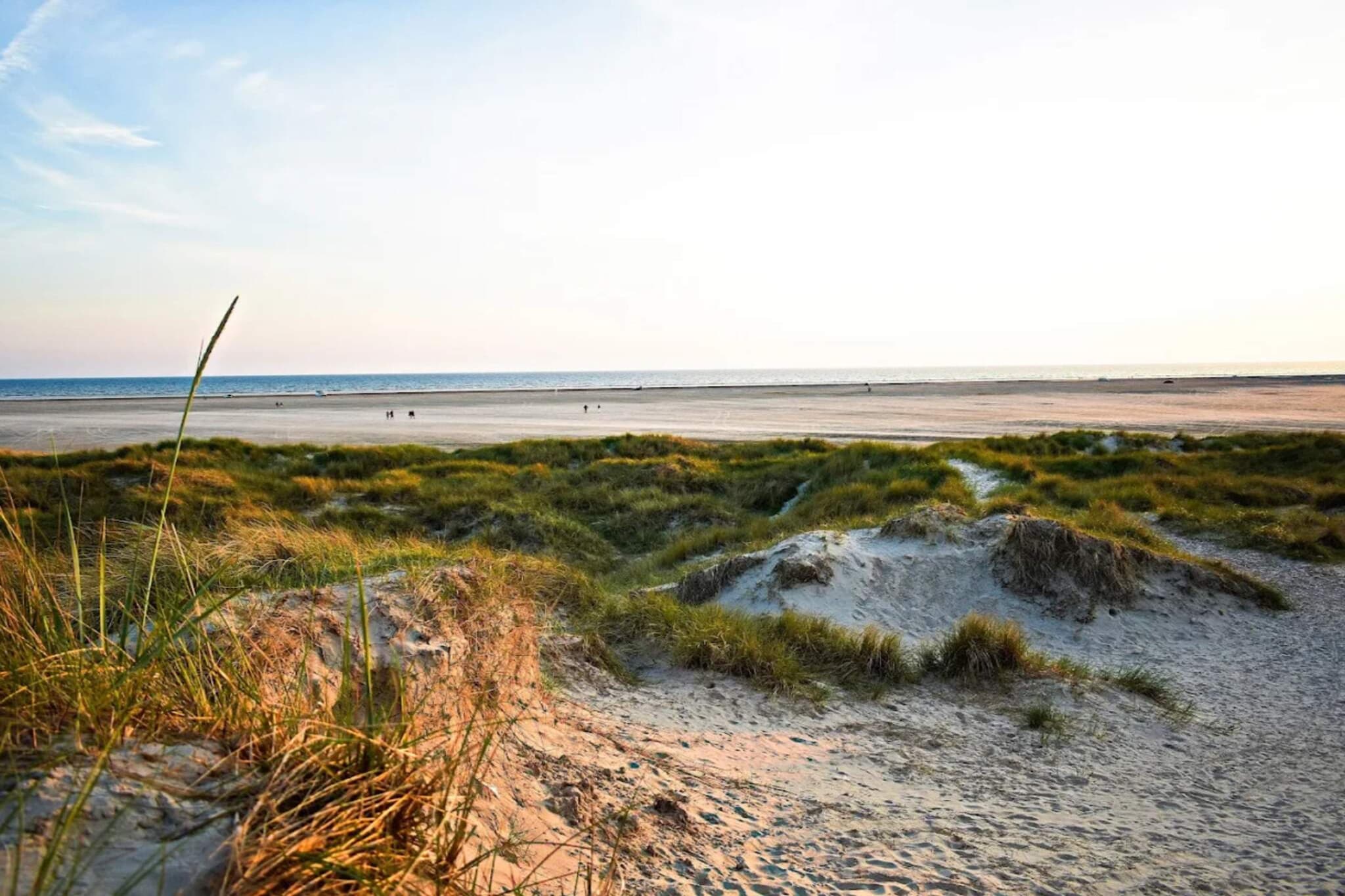 5 persoons vakantie huis in Fanø-Waterzicht