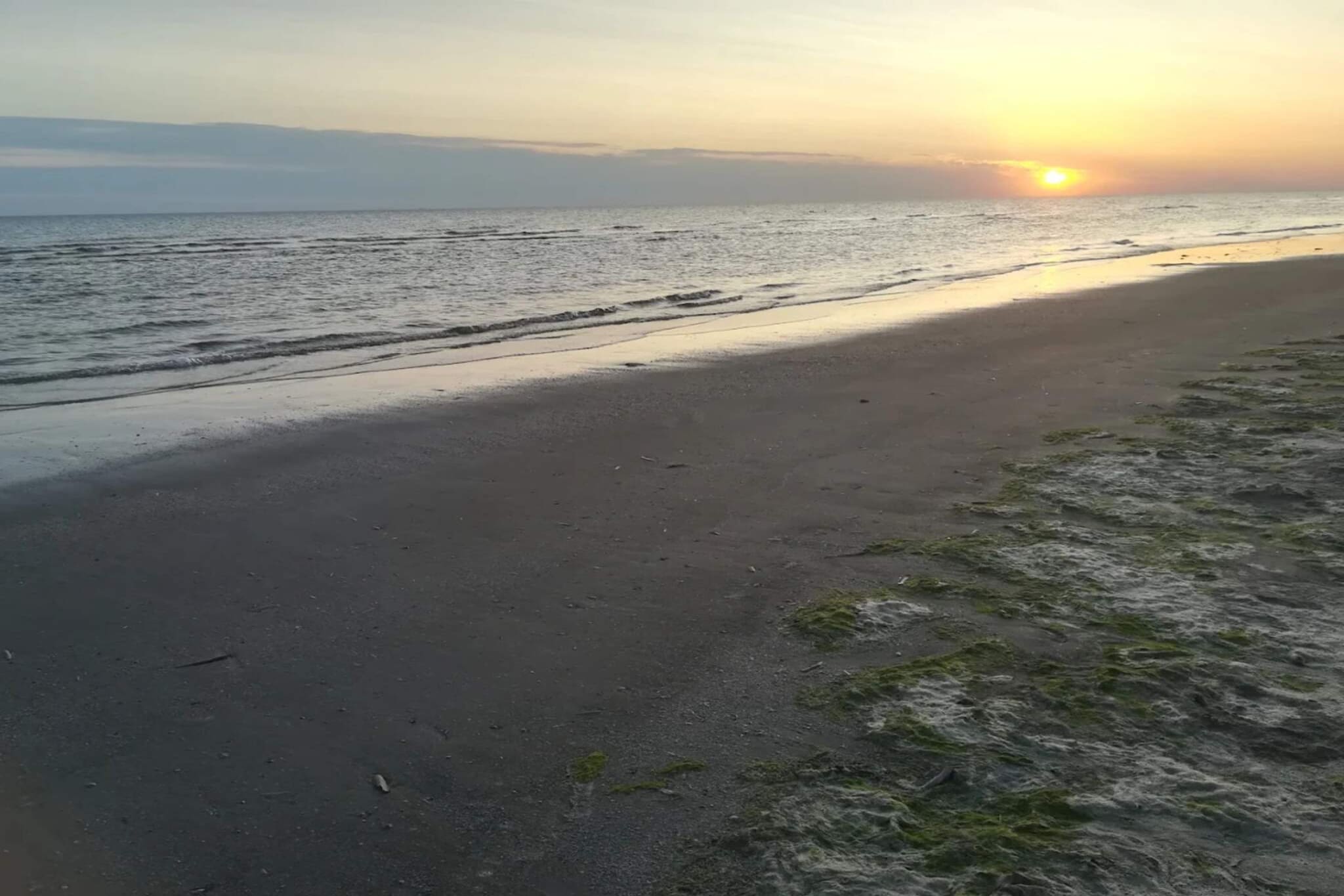 5 persoons vakantie huis in Fanø-Waterzicht