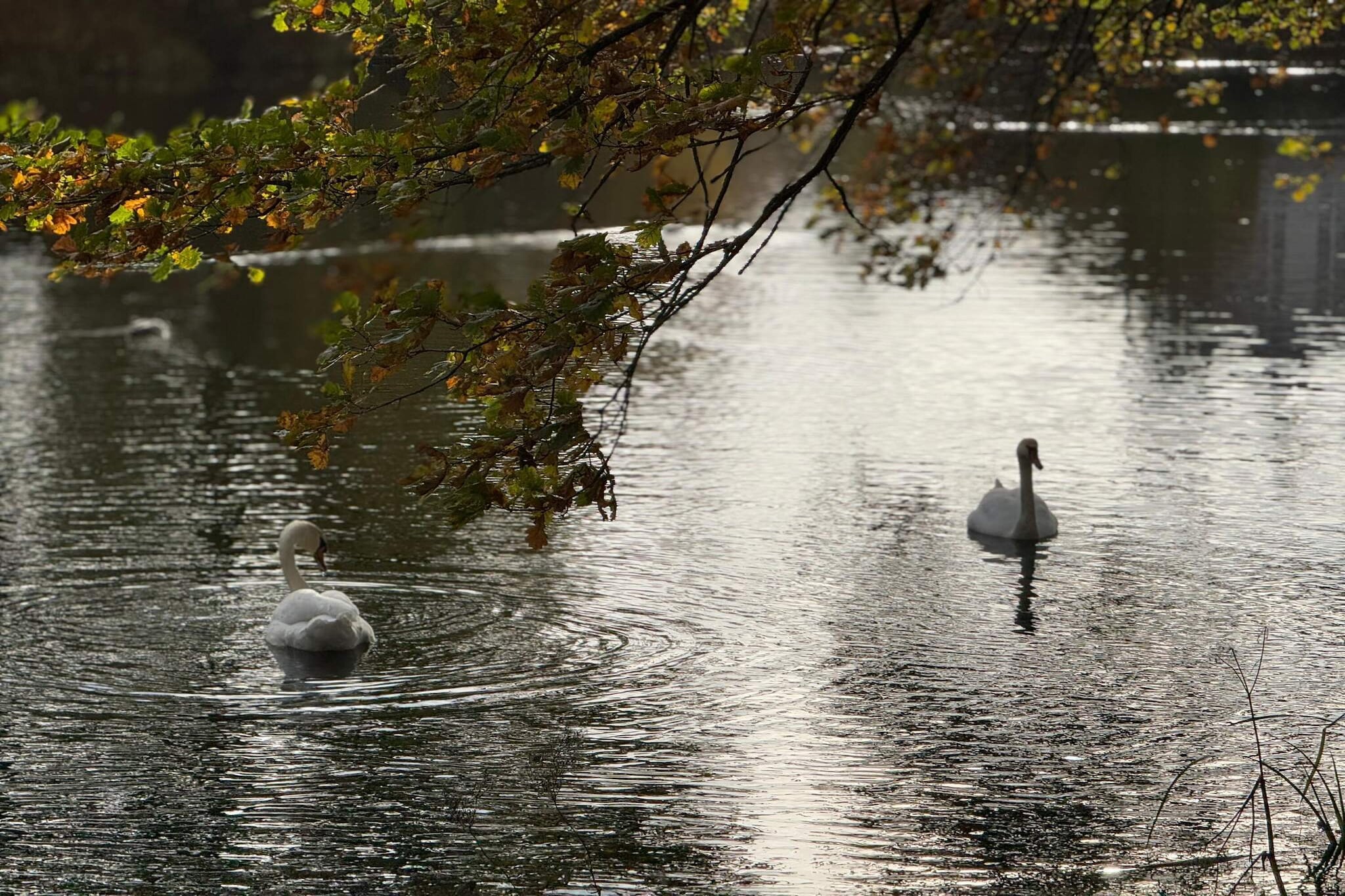 4 Personen Ferienhaus in Gråsten-Wasserblick