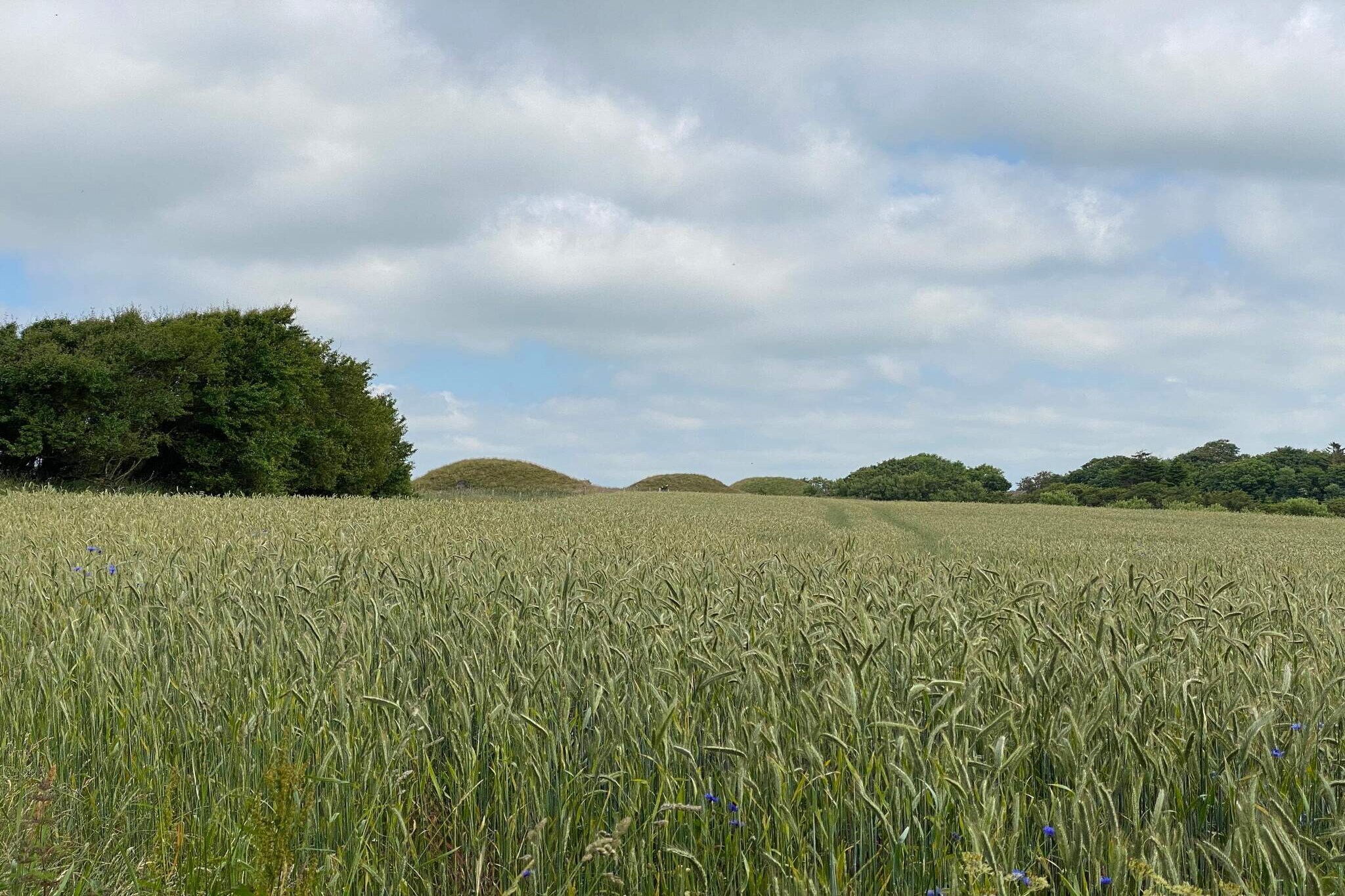 10 person holiday home in Ranum