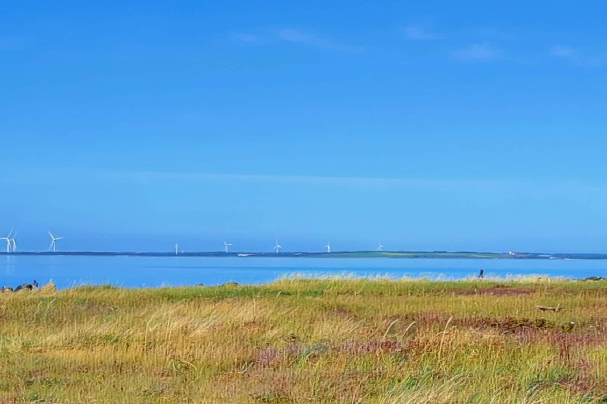 Maison de vacances pour 10 a Ranum - Vue sur l'eau