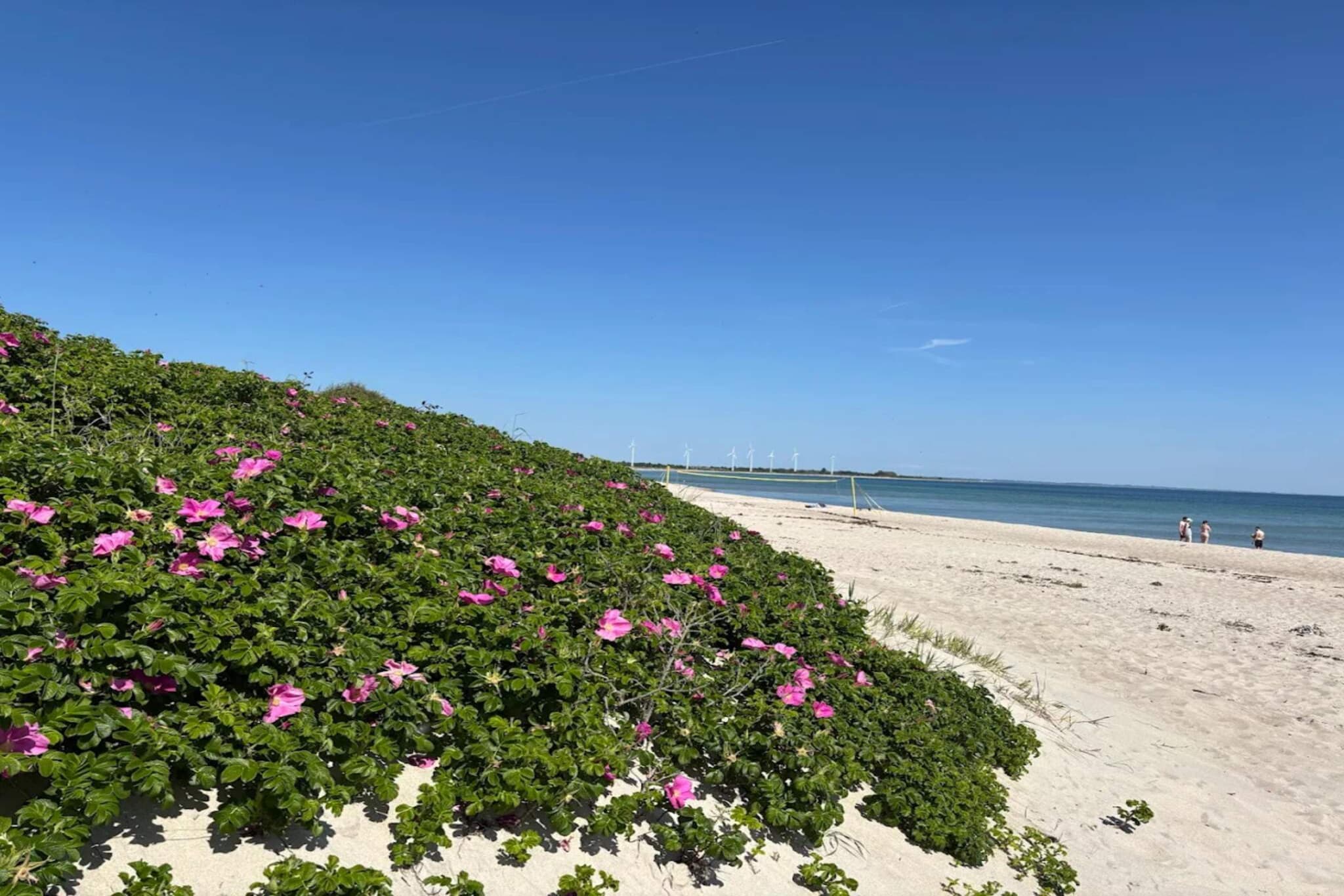 8 persoons vakantie huis in Sydals-Waterzicht