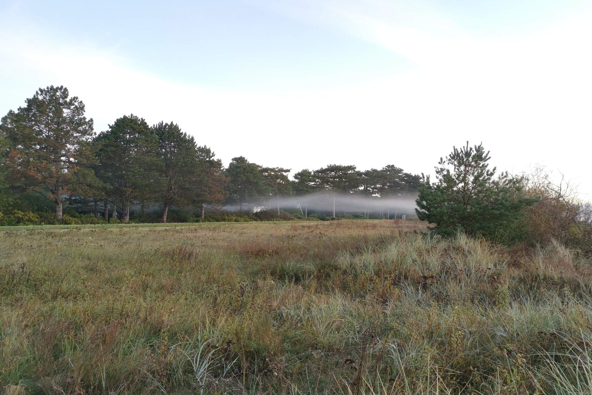 Serenite en bord de mer a Marielyst-Non tagué