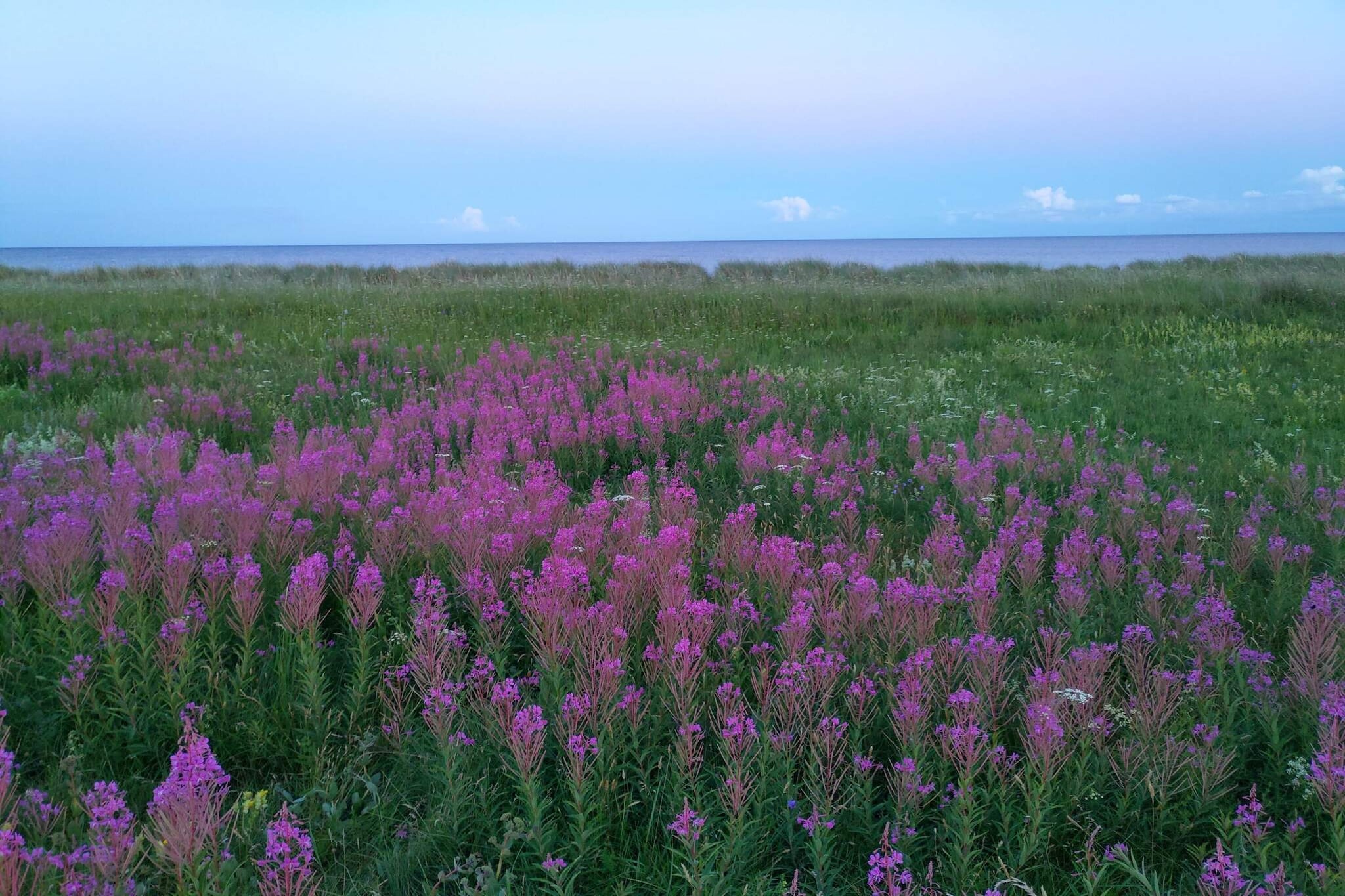 Serenite en bord de mer a Marielyst-Non tagué