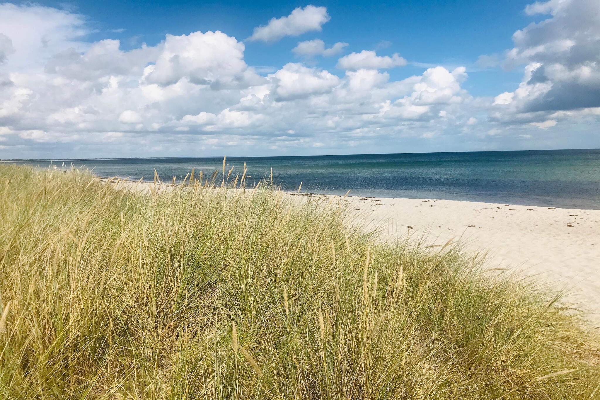 Serenite en bord de mer a Marielyst-Vue sur l'eau