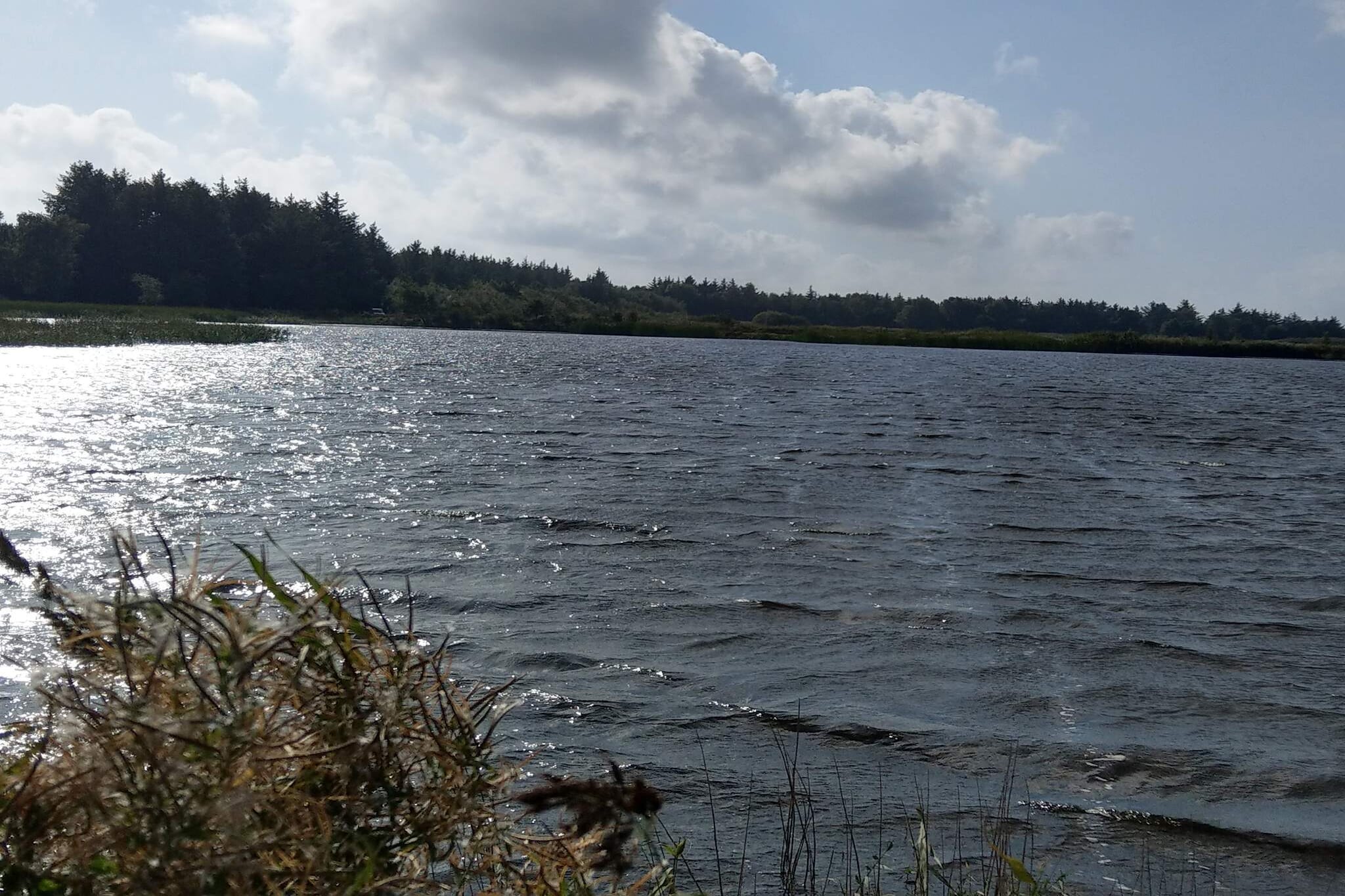 Serenite en bord de mer a Marielyst-Vue sur l'eau