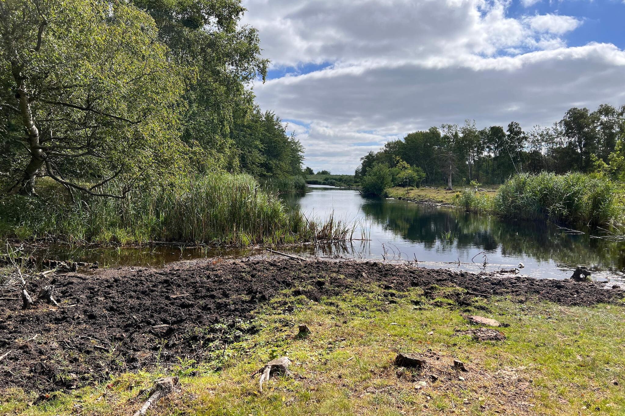 Serenite en bord de mer a Marielyst-Vue sur l'eau