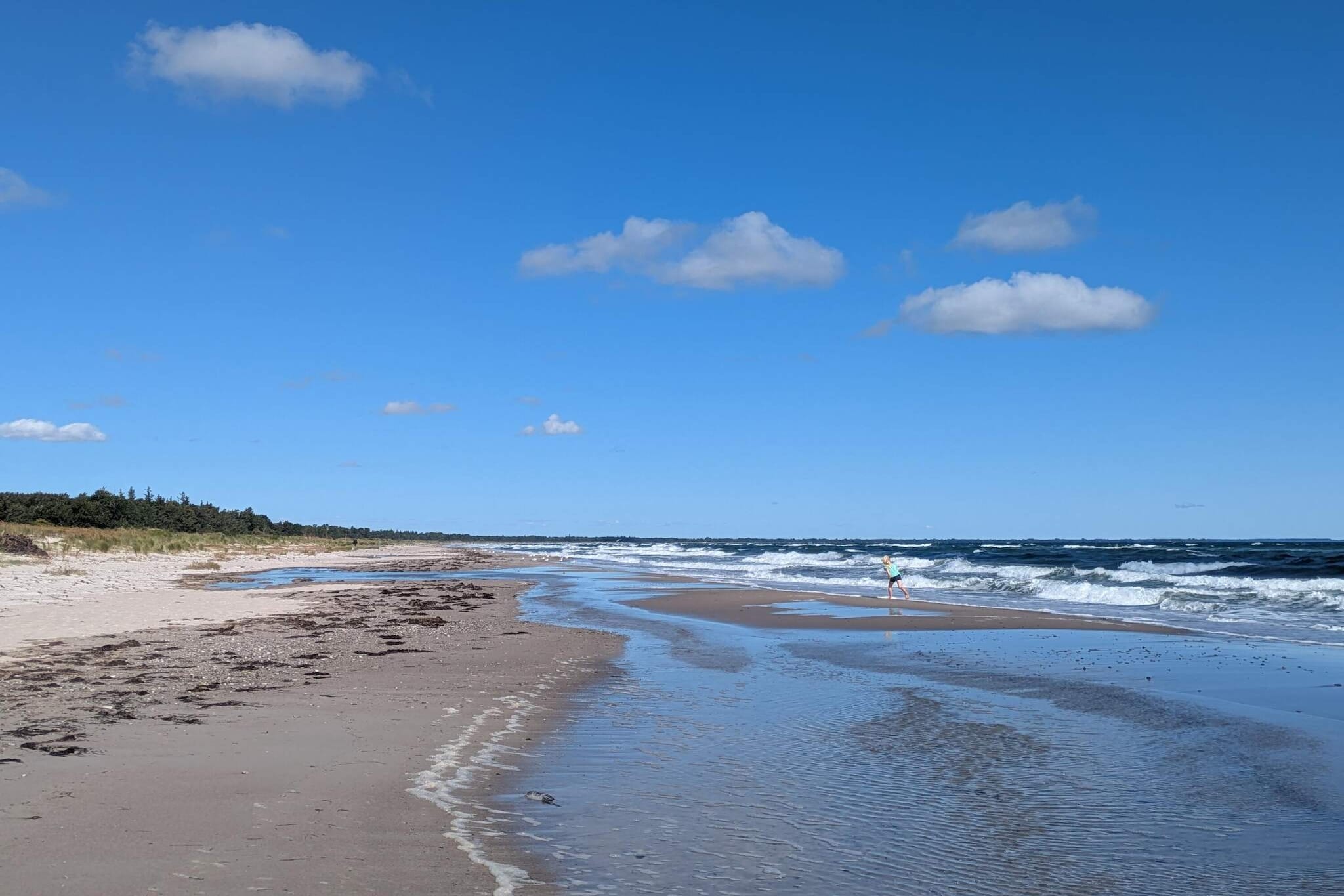 Serenite en bord de mer a Marielyst-Vue sur l'eau