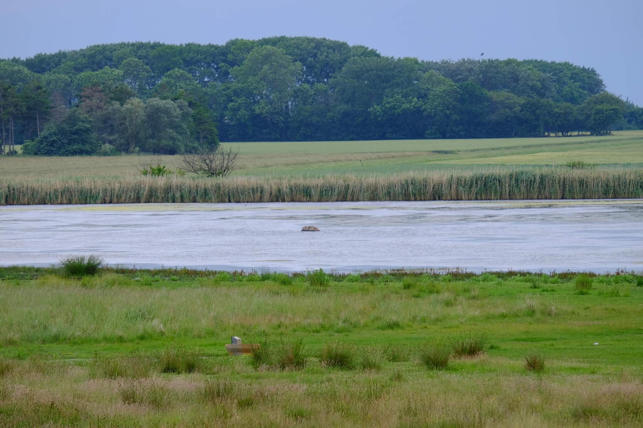 Serenite en bord de mer a Marielyst-Vue sur l'eau