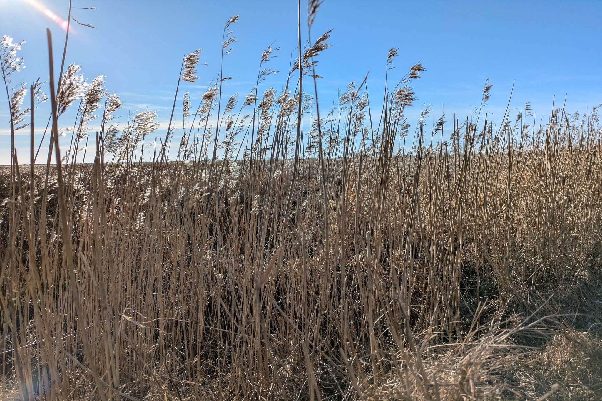 Plage de luxe a Blavand-By Traum-Non tagué