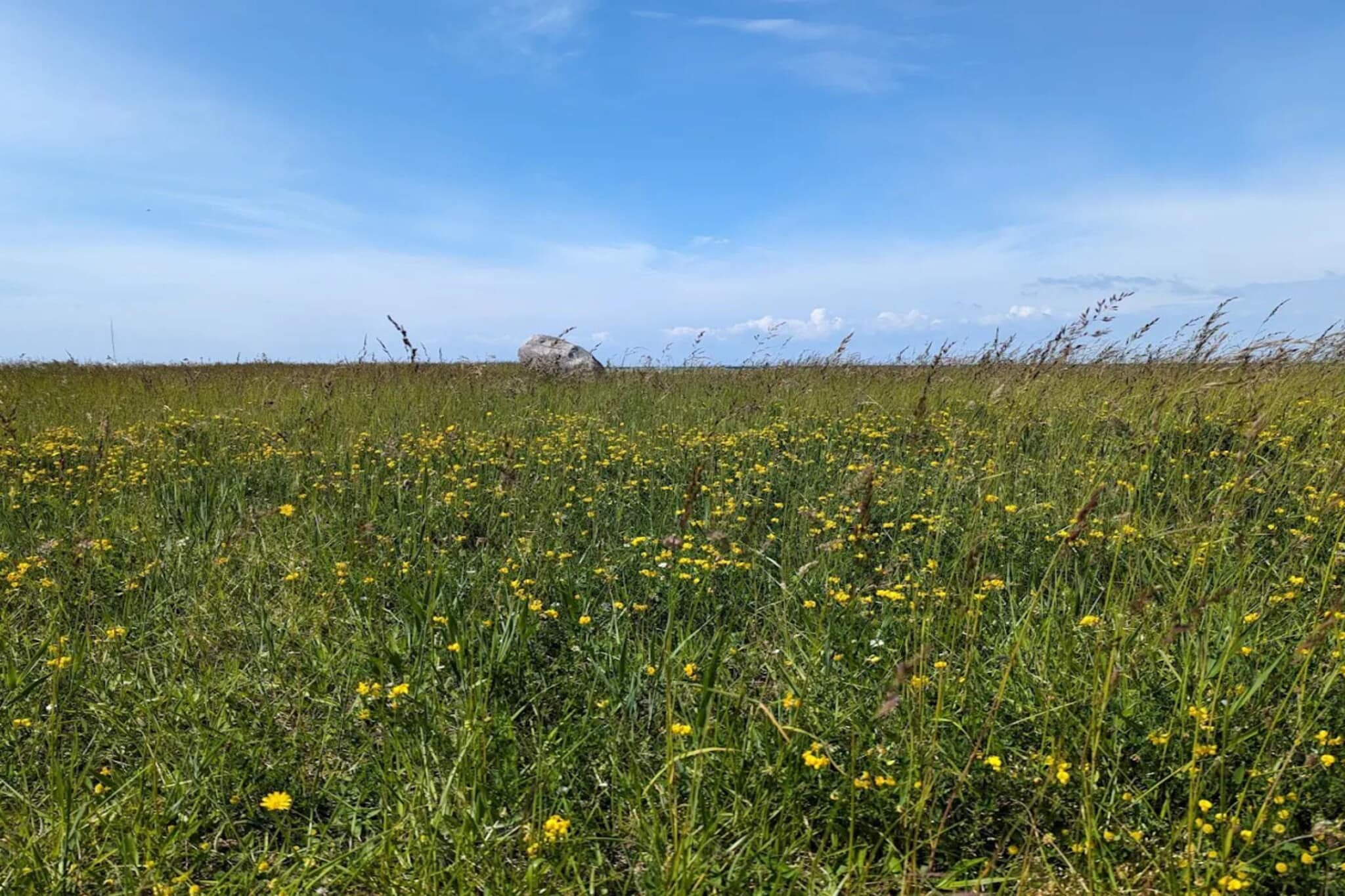 Within walking distance to the sea at Gedesby is this simply furnished and simple cottage for the small family. The cottage contains an open kitchen, dining area and living room. In the living room there is a wood burning stove, which can heat the whole house. There are two bedrooms. It is a retro house where you are close to nature and the beach. Exit from the living room to the garden and natural plot of approx. 1,000 m2, where you can enjoy the sun. There is a barbecue for the good summer evenings. Not for rent to youth groups.
A refundable deposit might be charged closer to your check-in date. This deposit covers utilities consumed during your stay and any additional services that may be taken. The final amount will be adjusted based on actual meter readings, actual usage of extra services, and any remaining balance will be refunded within 21 days after checkout.
