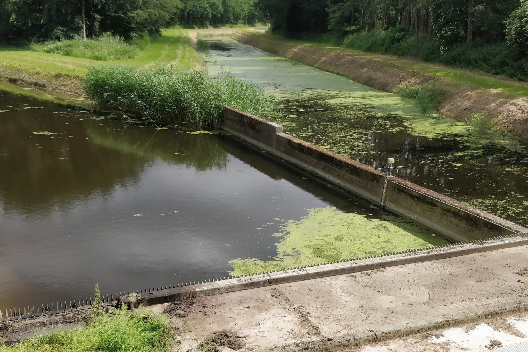 Moderne Oase in Marielyst-By Traum-Waterzicht