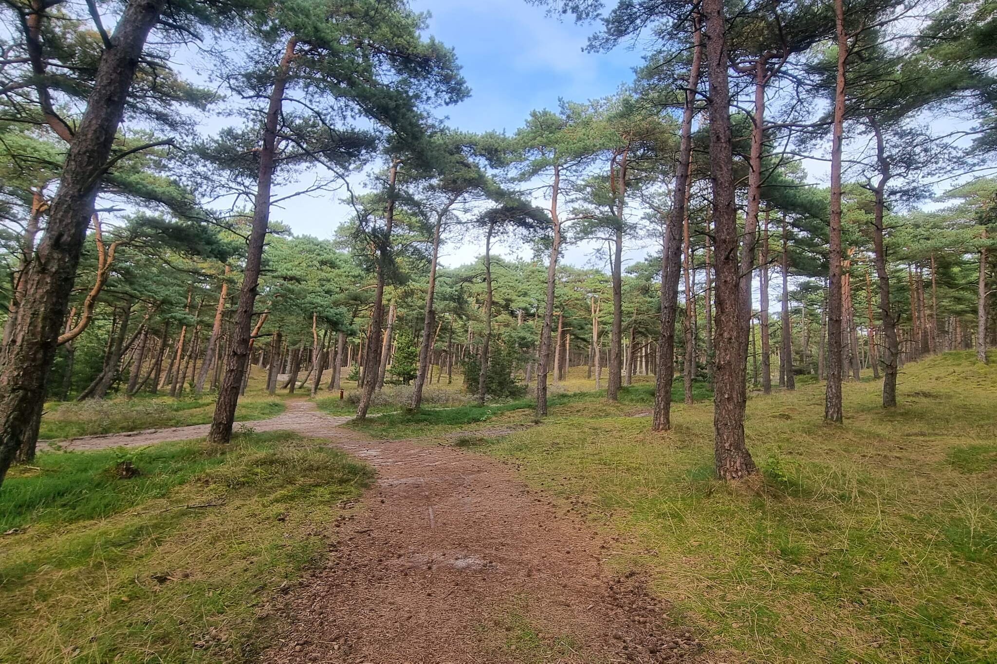Maison de vacances pour 6 a Rømø-Non tagué