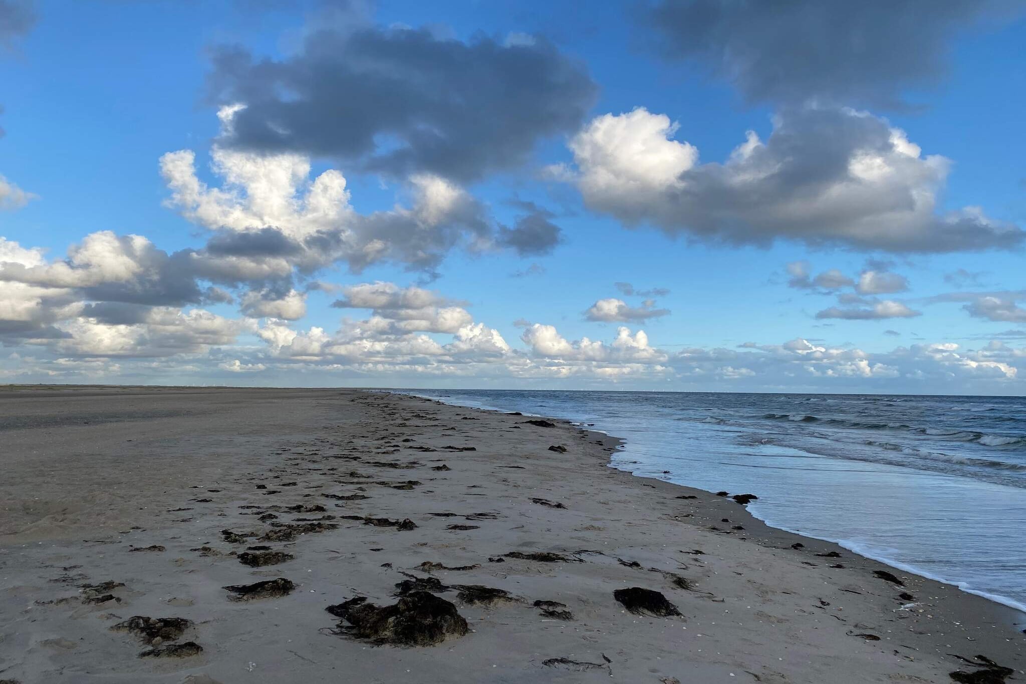 Maison de vacances pour 6 a Rømø-Vue sur l'eau