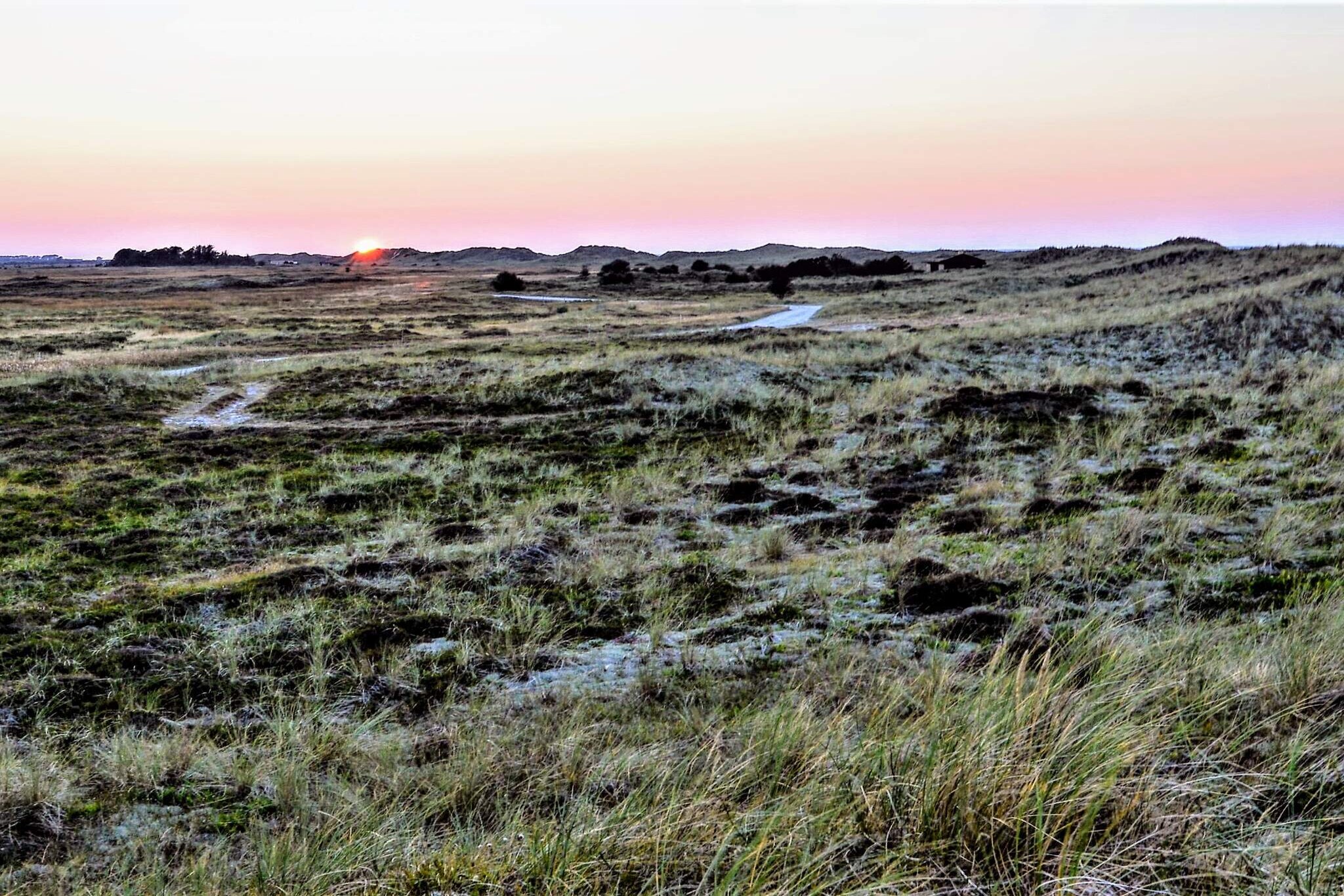 Holiday home located in scenic surroundings on a plot with a large lawn and walking distance to Danzigmann beach at Østerby with the high dunes and the completely unique open heath landscape. The cottage is furnished with two good bedrooms and a nice bathroom, open kitchen with dining area and living room with wood stove and heat pump. From the living room there is access to a covered terrace, where you can enjoy the tranquility and nature and wildlife up close.

A refundable deposit might be charged closer to your check-in date. This deposit covers utilities consumed during your stay and any additional services that may be taken. The final amount will be adjusted based on actual meter readings, actual usage of extra services, and any remaining balance will be refunded within 21 days after checkout.