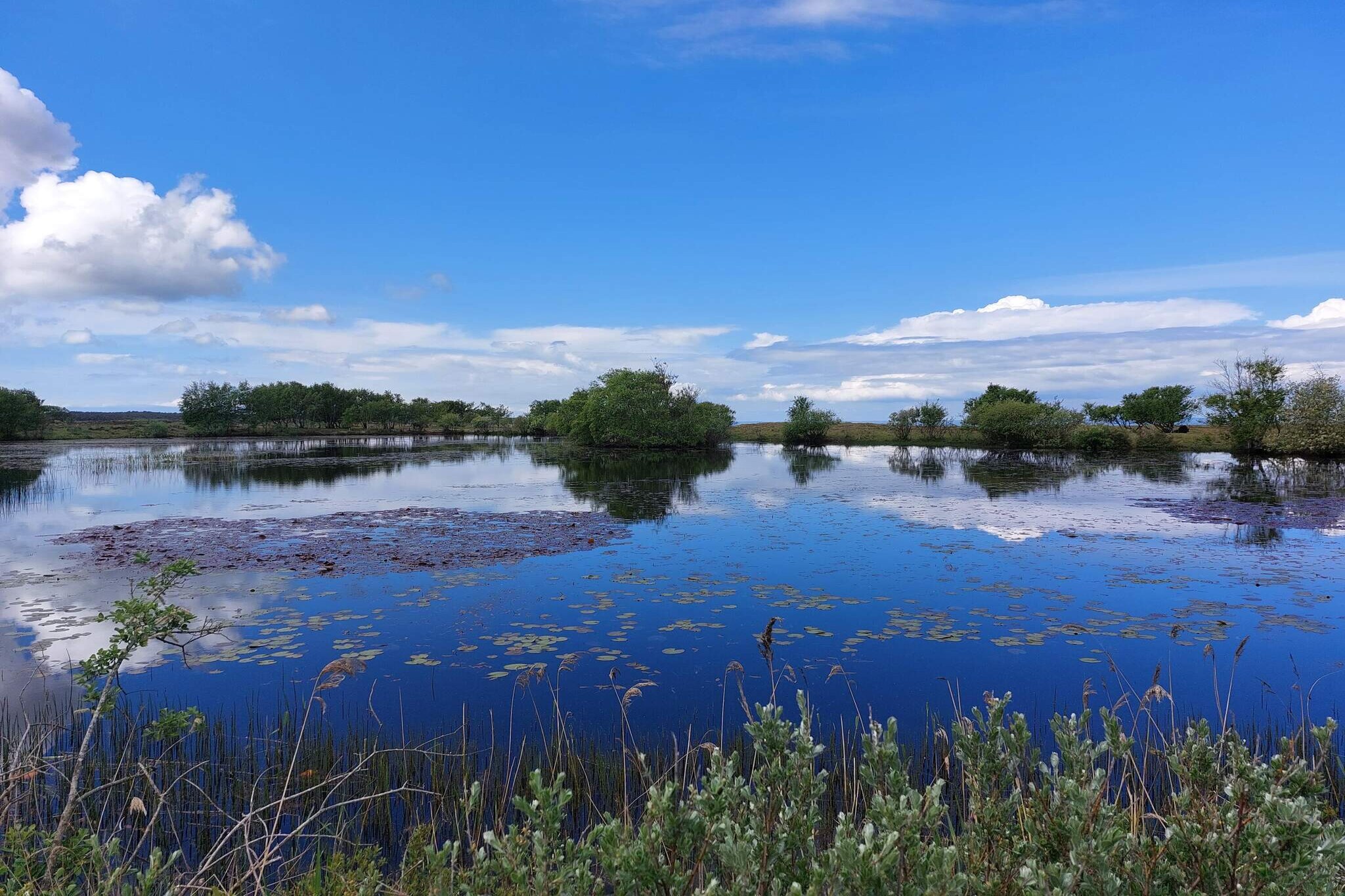 Maison de vacances pour 4 a Læsø - Vue sur l'eau
