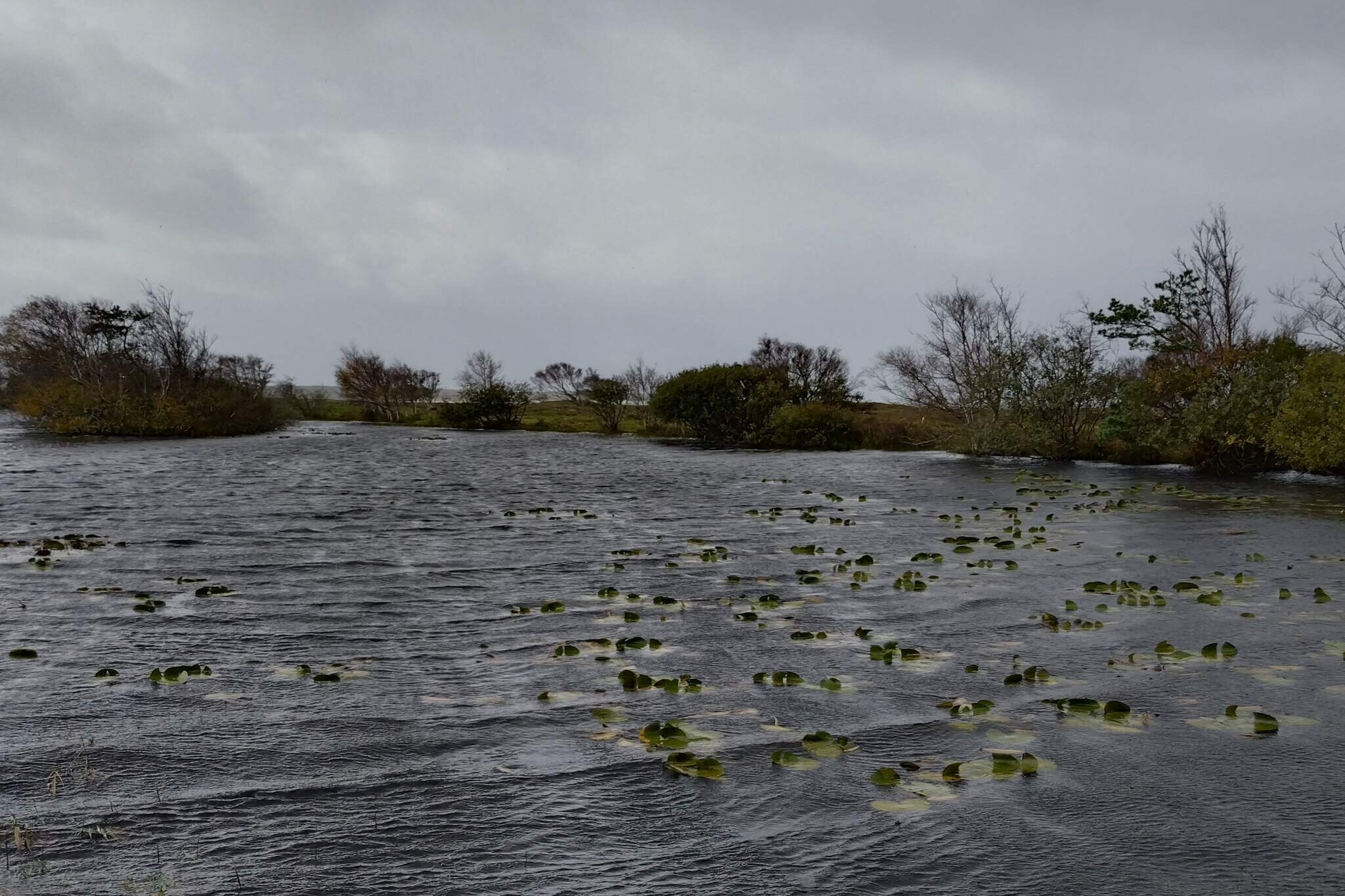 Maison de vacances pour 4 a Læsø - Vue sur l'eau