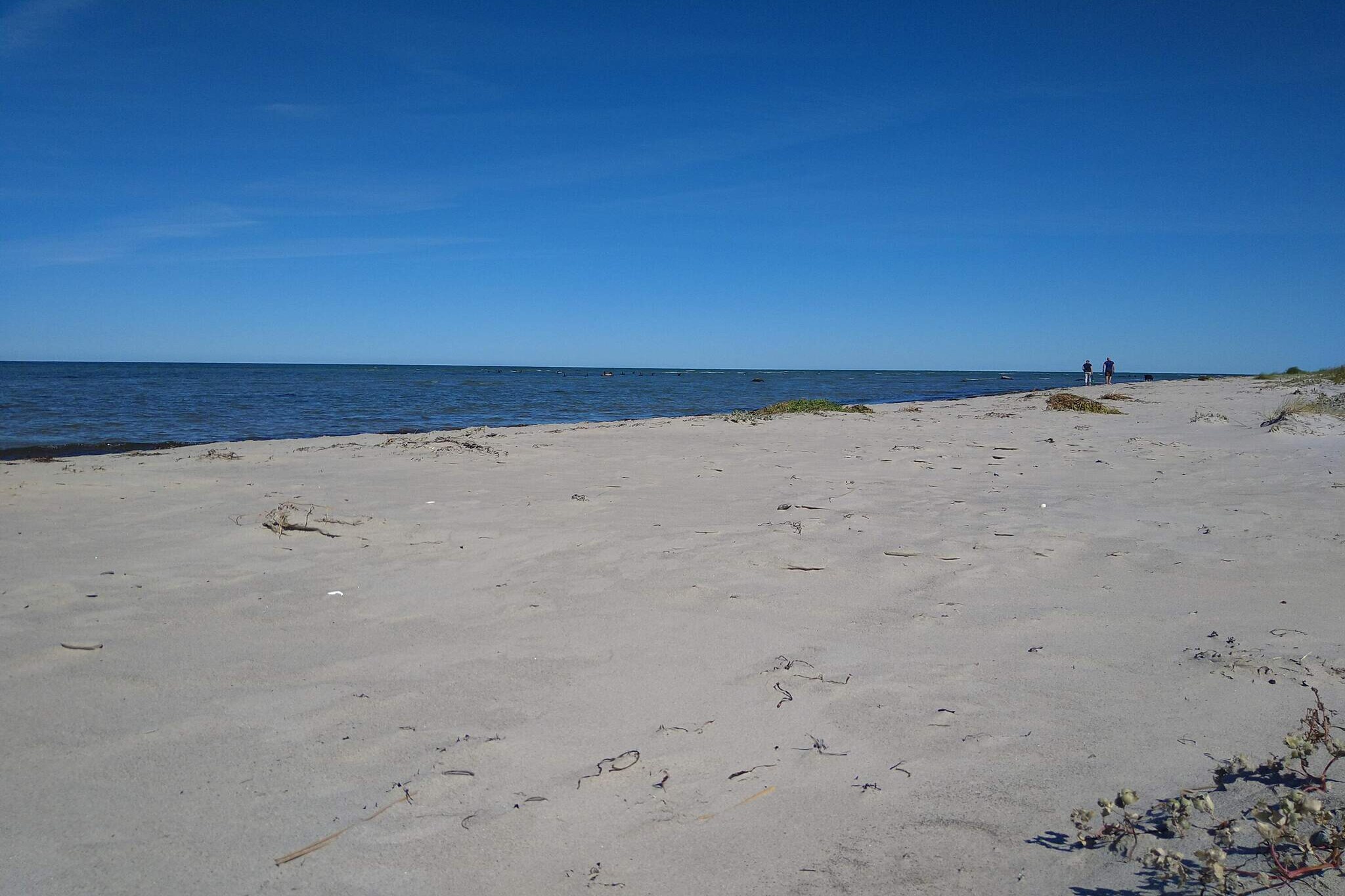 Maison de vacances pour 4 a Læsø - Vue sur l'eau