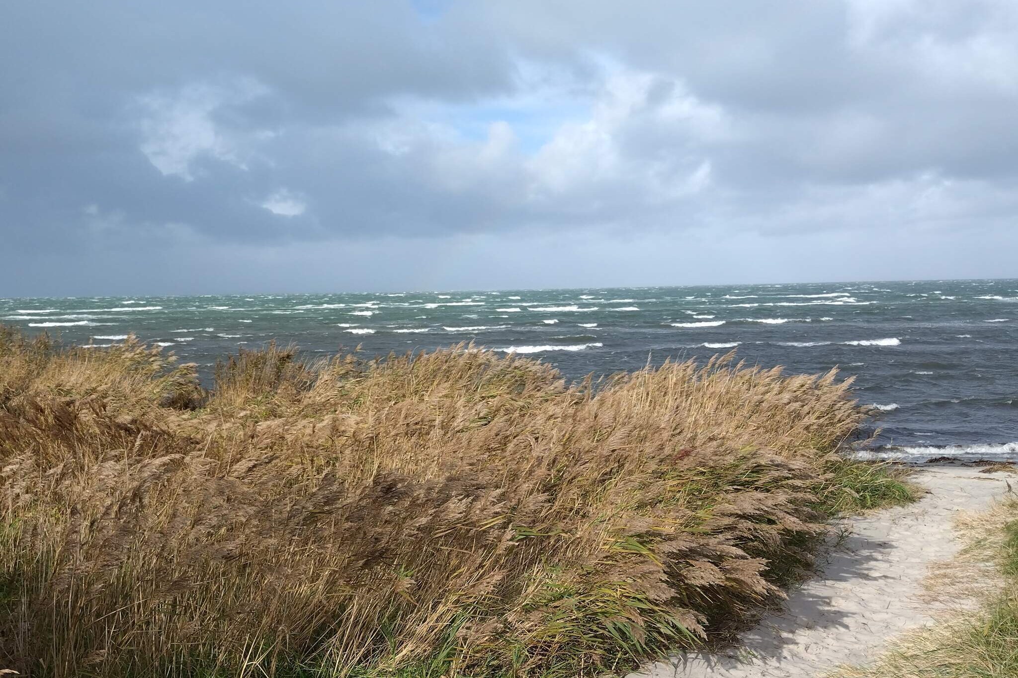 Maison de vacances pour 4 a Læsø - Vue sur l'eau