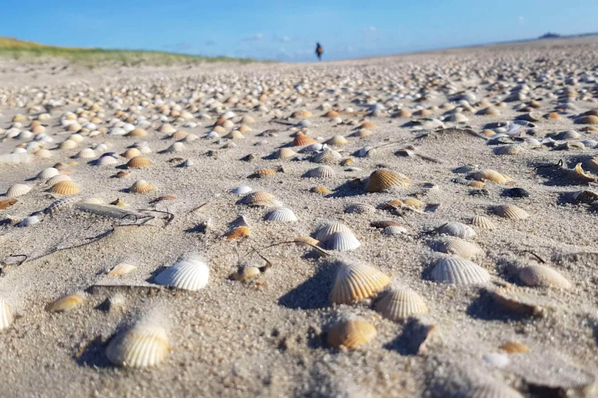 6 persoons vakantie huis in Rømø-Niet-getagd