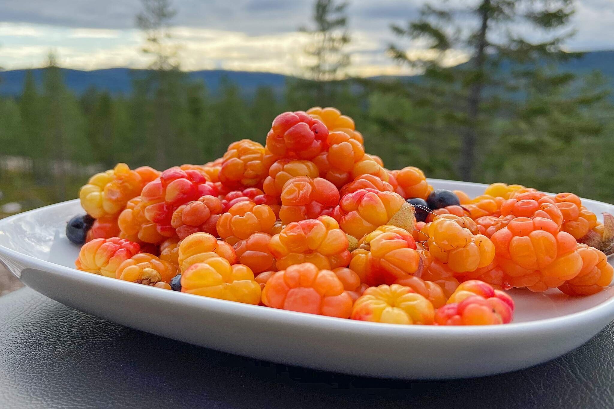 Enjoy the Swedish mountain world that brings harmony for body and soul! In Stöten, Sälen you will find this nice semi-detached house that offers a fantastic panoramic view of mountains and nature, where magical sunsets can be seen! Here you live very comfortably in a modern two-storey semi-detached house built in 2018 with high ceilings, nice patios and a lovely sauna. Sälen is a place that must be experienced even during the summer, here you can pick berries, fish, hike or mountain bike in the beautiful mountains that also offer a rich wildlife where you can see a moose or two, if you are lucky! This accommodation offers everything you could possibly need, pleasant living areas, cozy wood burning stove for chilly evenings, complete kitchen, comfortable bedrooms, two bathrooms and sauna. Parking directly adjacent to the house and beautiful nature as a neighbor. Feel the peace and enjoy the fresh air, hike on the nice hiking trails, fish in rivers and lakes, take a dip in the nice lake in Rörbäcksnäs or why not take a bike ride. Do not miss Experium in Lindvallen, a popular adventure pool that is suitable for all ages where you can also play bowling and go to the cinema. Let yourself discover what one of Sweden's gems has to offer even during the summer. Warm Welcome to Stöten!