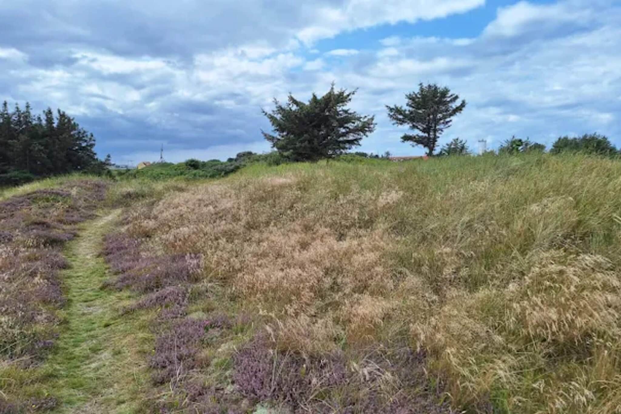 Gezellig toevluchtsoord in Skagen City-By Traum