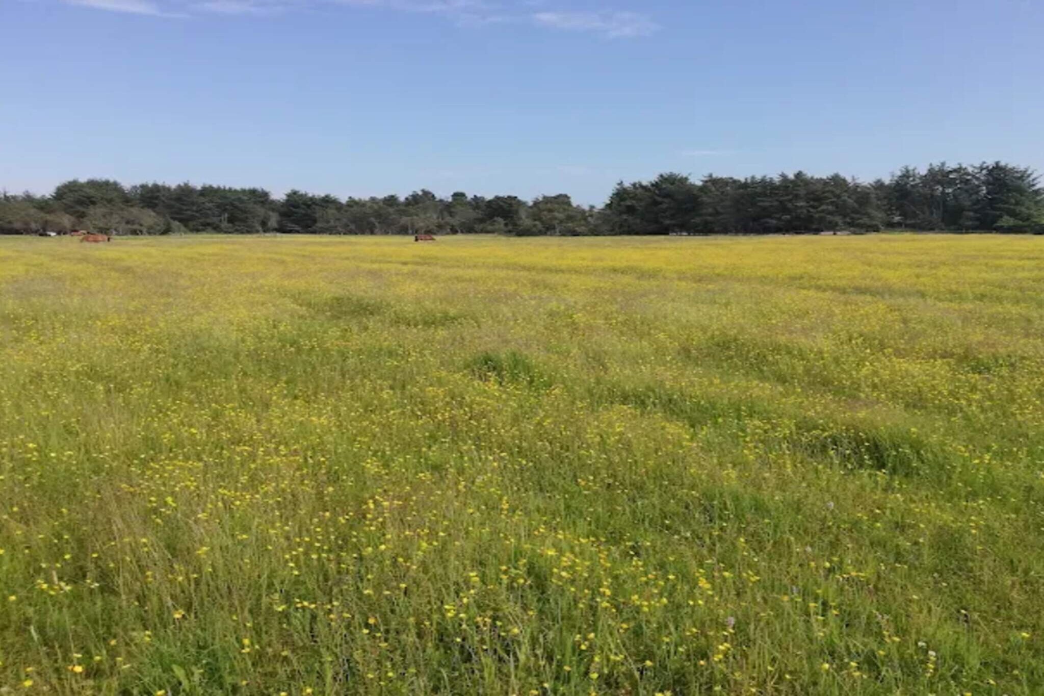 Gezellig toevluchtsoord in Skagen City-By Traum-Niet-getagd