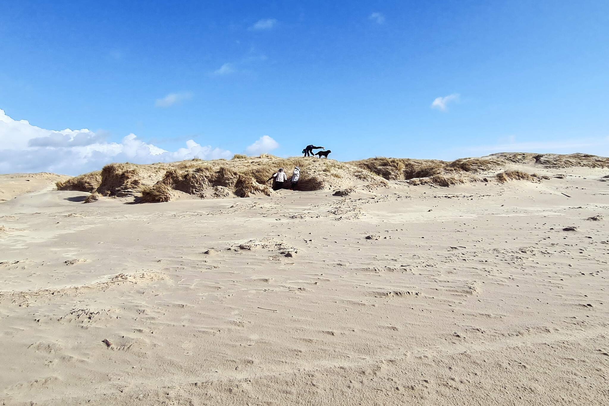 9 persoons vakantie huis in Rømø-Waterzicht