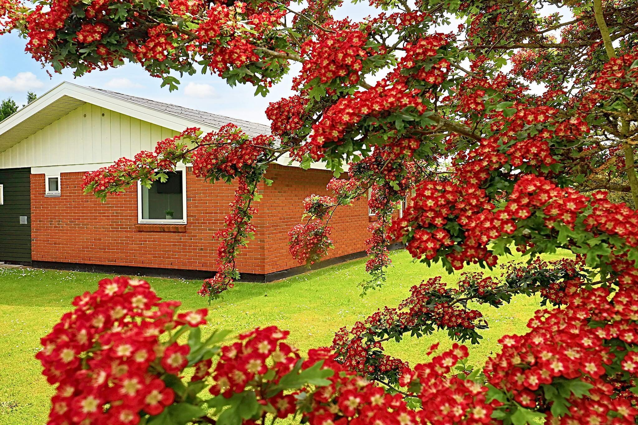 In Marielyst you will find this spacious and well-appointed cottage, which has an open kitchen to a combined dining room and living room with plenty of space. From the living room there is access to a good conservatory with access to an open terrace. The house is well equipped and there are good opportunities to enjoy, as there is free wireless internet, TV with Chromecast for streaming, stereo, game console and table football. There are three bedrooms and an annex. For the children there is a cot and high chair. The kitchen is well equipped with many appliances, kitchen utensils and dishwasher. In the house there is also a washer and dryer. There is also an air / air heat pump, so you can save energy. On the large approx. 1,300 m2 of land, there is the opportunity to have fun, barbecue and sunbathe, just as you can frolic on the lawn and play football to goal. For the little ones there are swings and sandbox. It's about. 100 meters to Golf and Fun Park and approx. 600 meters to Marielyst Golf Club. Free access to Svømmecenter Falster and Nordfalster Svømmecenter. Not for rent to craftsmen and youth groups.
A refundable deposit might be charged closer to your check-in date. This deposit covers utilities consumed during your stay and any additional services that may be taken. The final amount will be adjusted based on actual meter readings, actual usage of extra services, and any remaining balance will be refunded within 21 days after checkout.