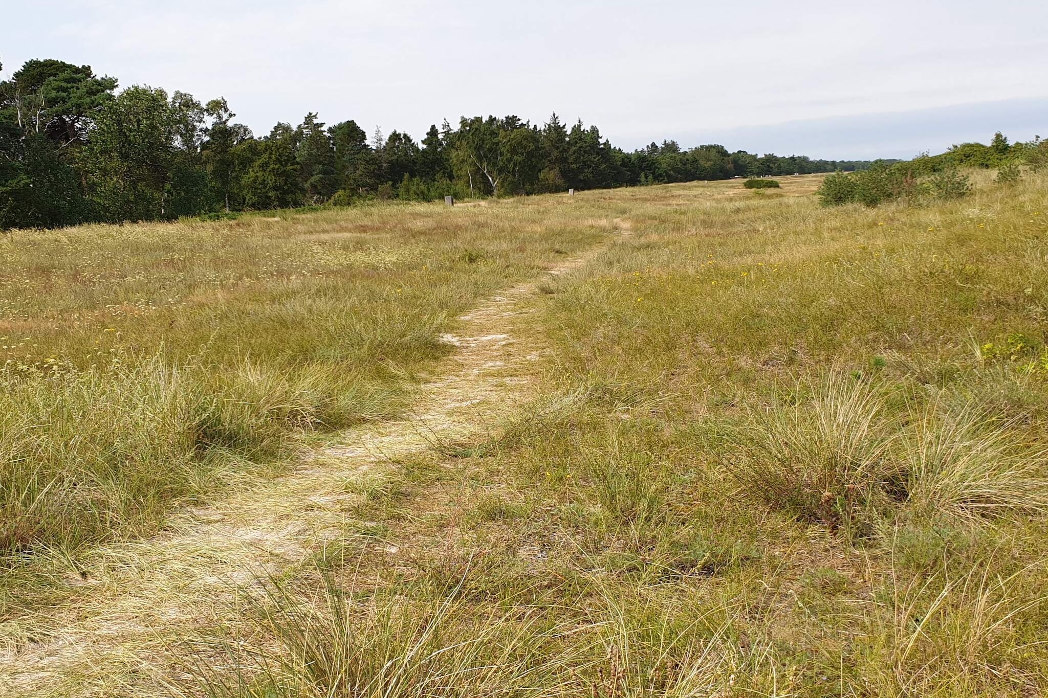Ruim toevluchtsoord in Marielyst-By Traum-Waterzicht