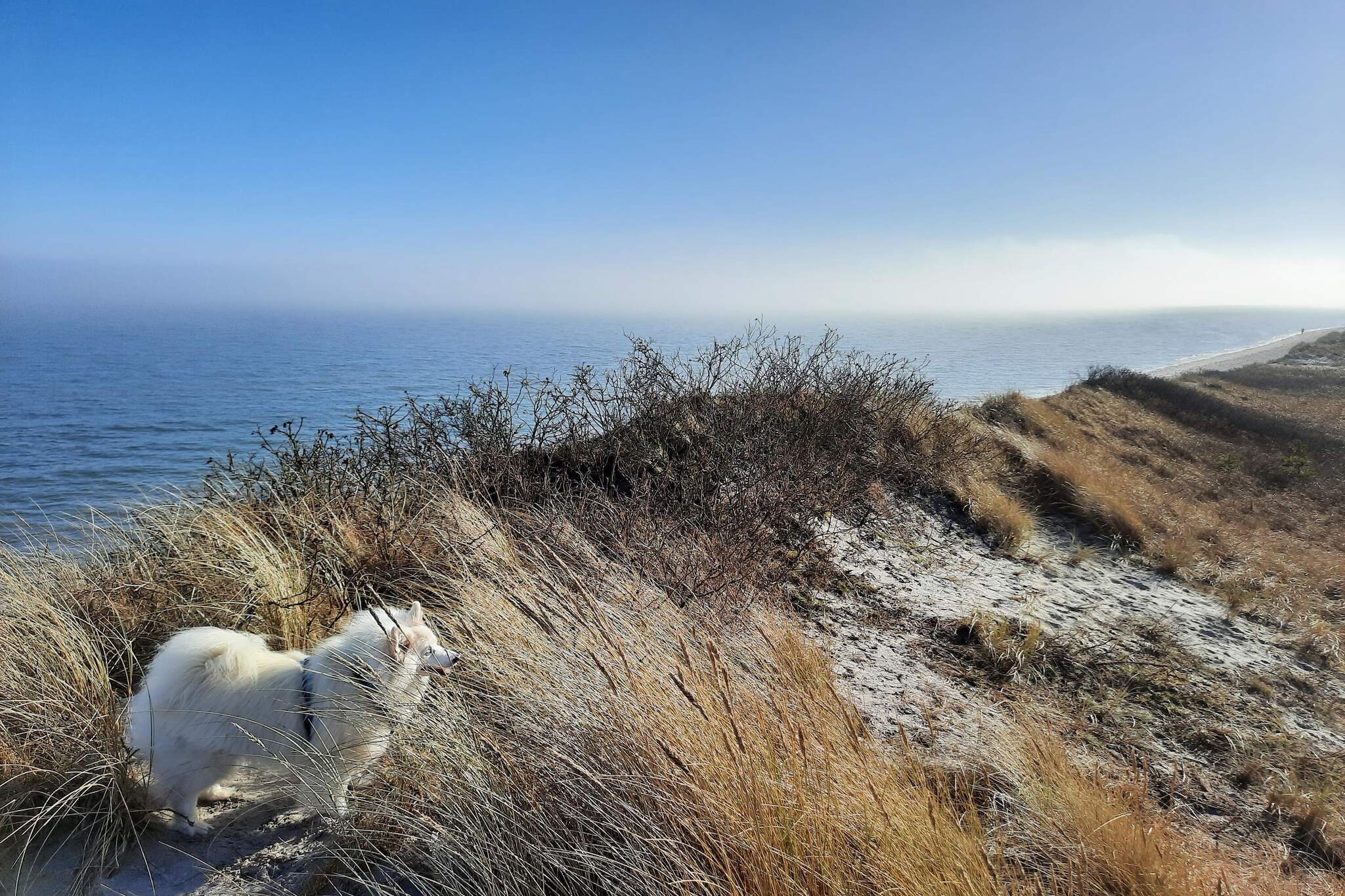 10 persoons vakantie huis in Sæby-Buitenlucht