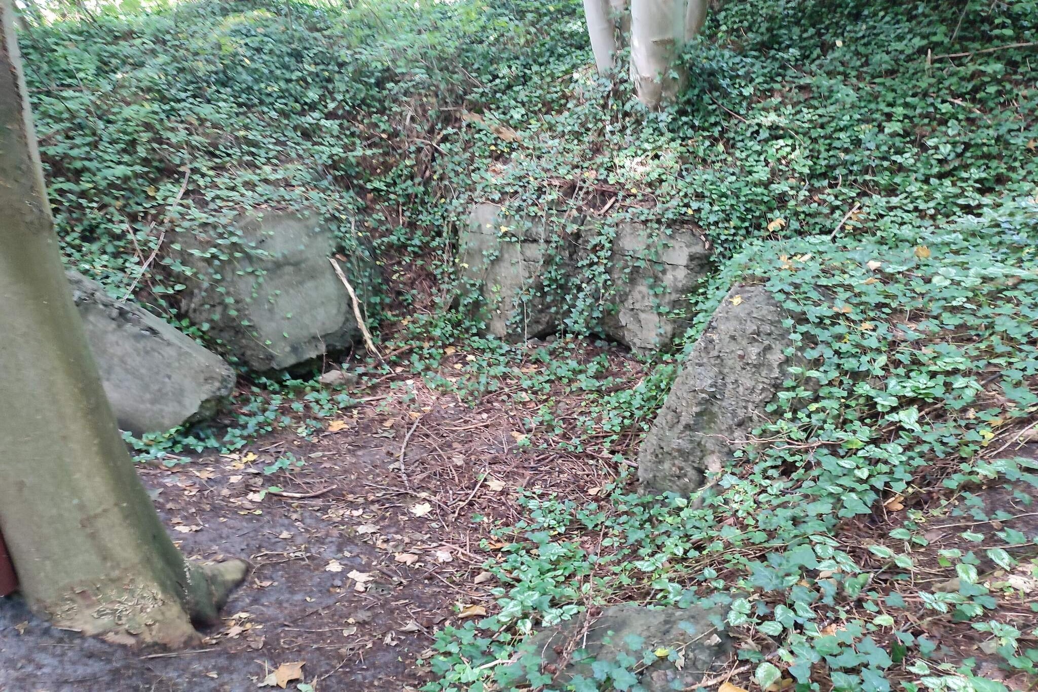 Modern Cottage Oasis in Arrild-Untagged