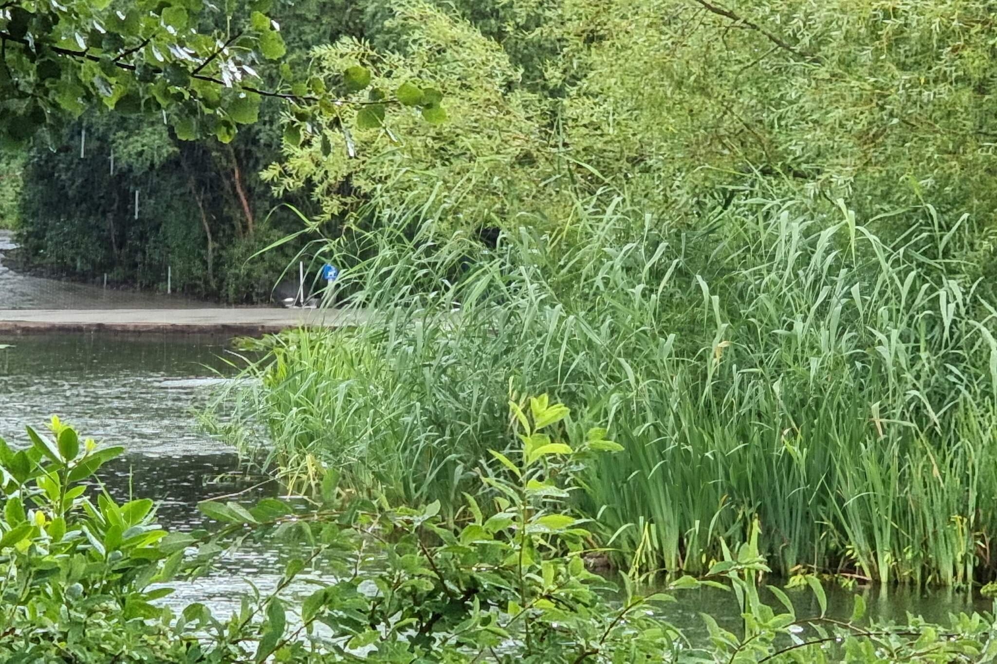 Betoverend huisje in Oksbol Oase-By Traum - Waterzicht