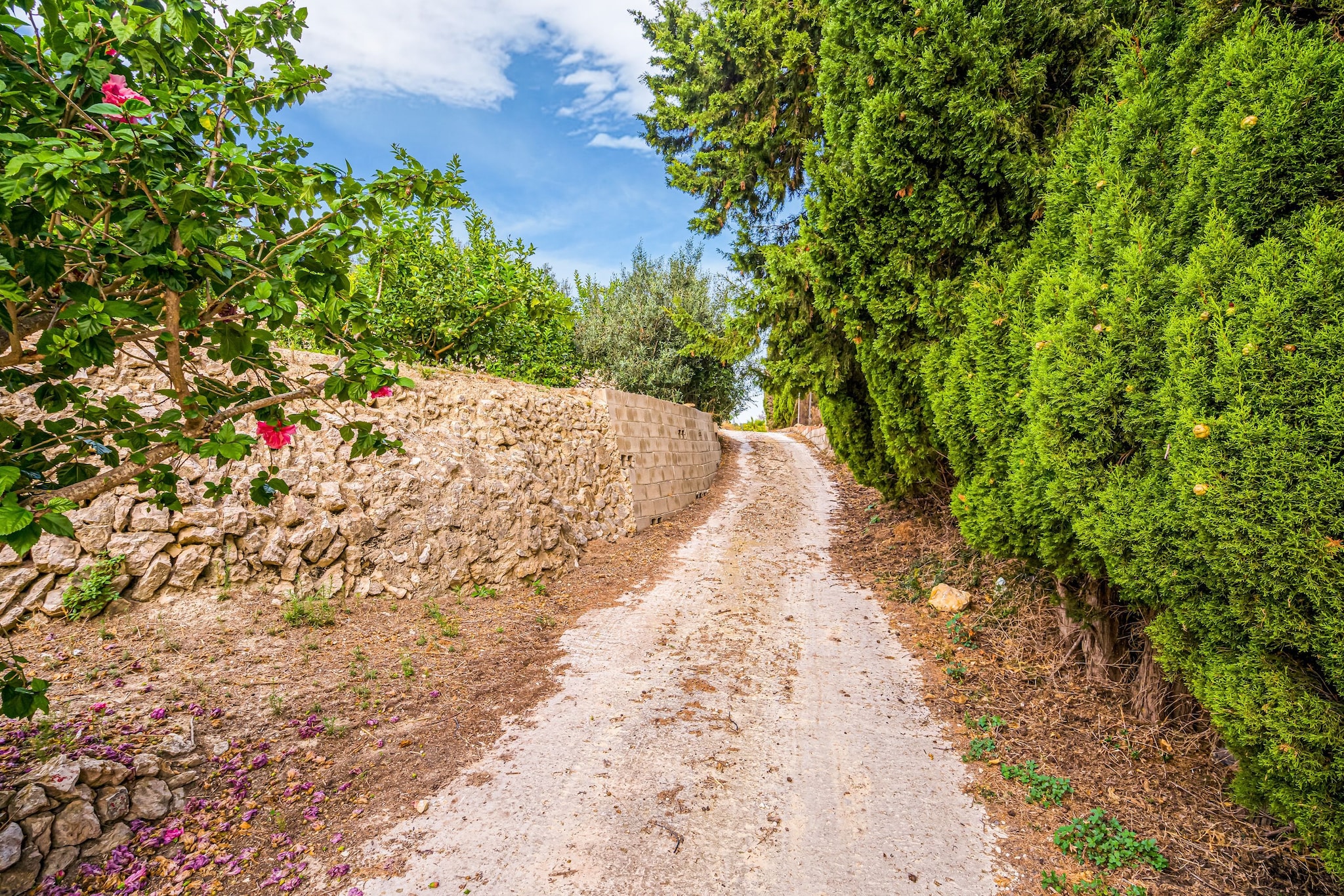 Villa Adelia-Gardens summer