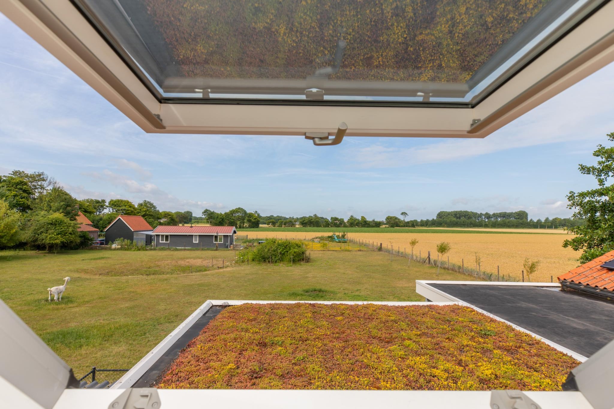 Vakantiehuis Groeneweg 3 'Jikkemien-View summer
