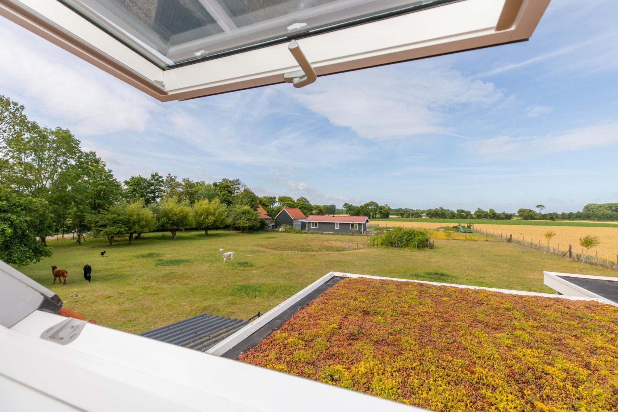 Vakantiehuis Groeneweg 3 'Jikkemien-View summer