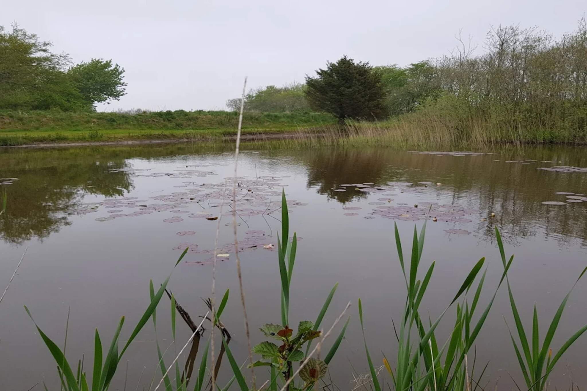 Rustiek toevluchtsoord bij Hemmet Strand-By Traum-Waterzicht