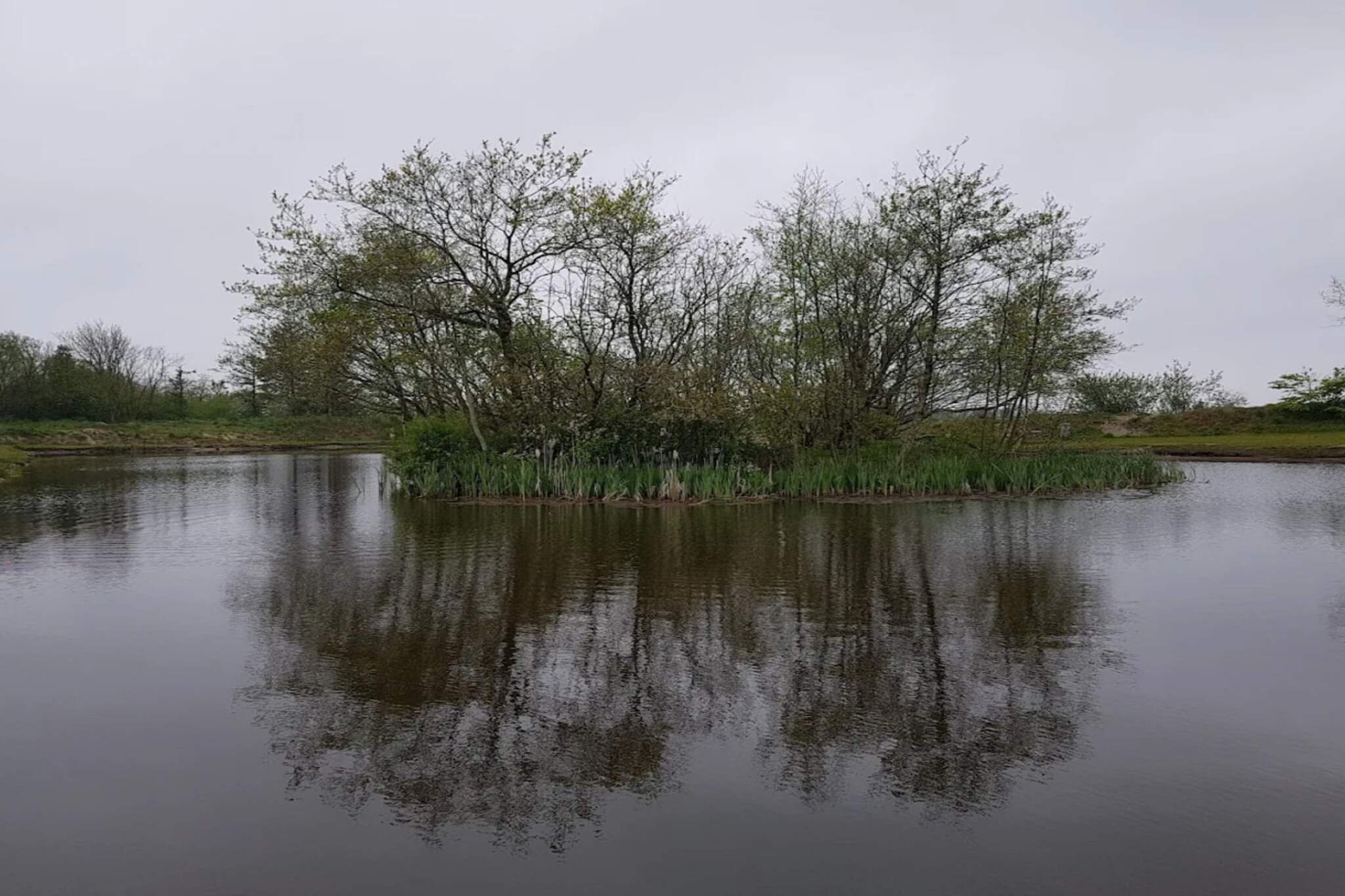 Rustiek toevluchtsoord bij Hemmet Strand-By Traum-Waterzicht